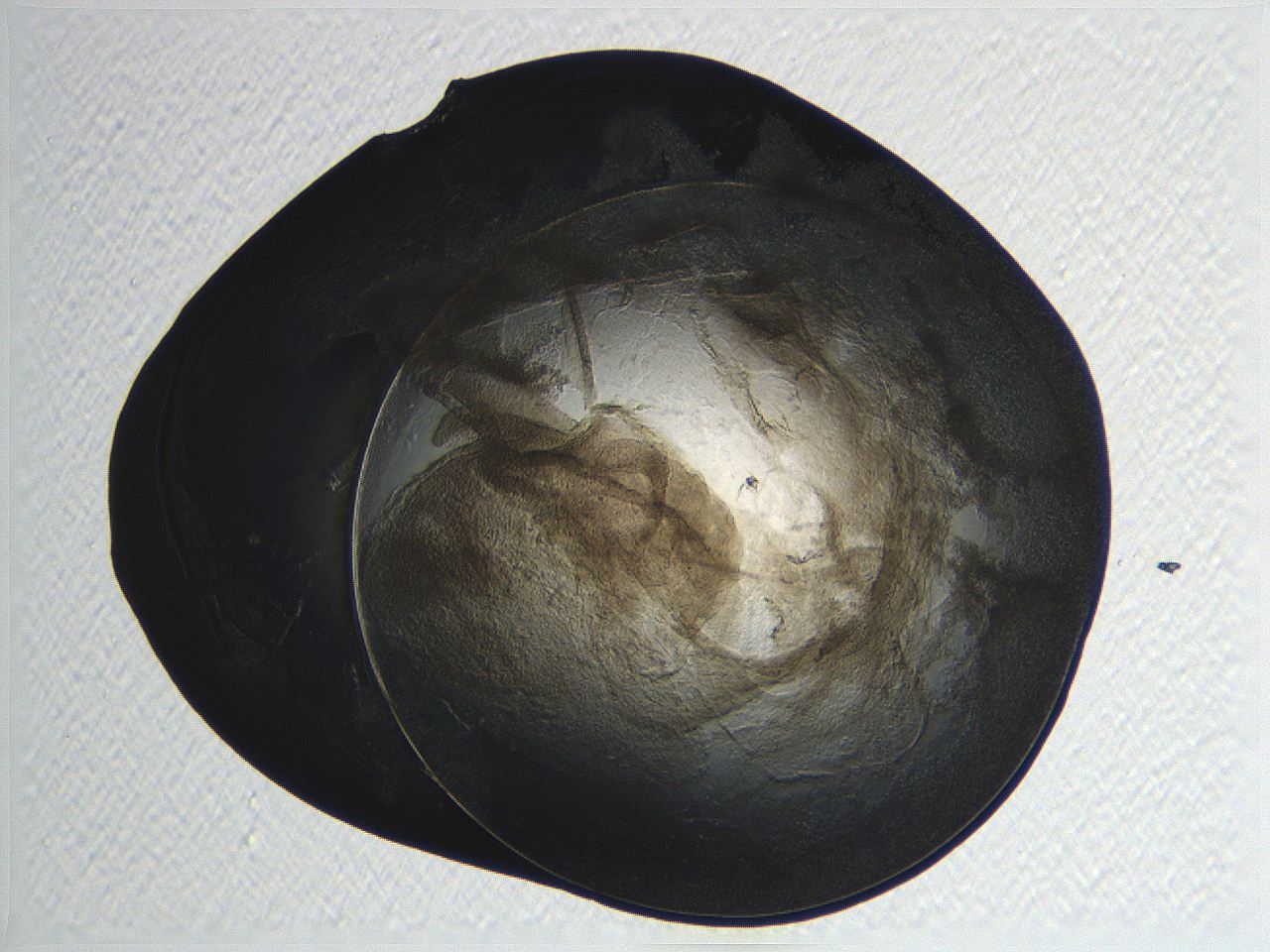 04or_F12_ImagerDefaults_3.jpg