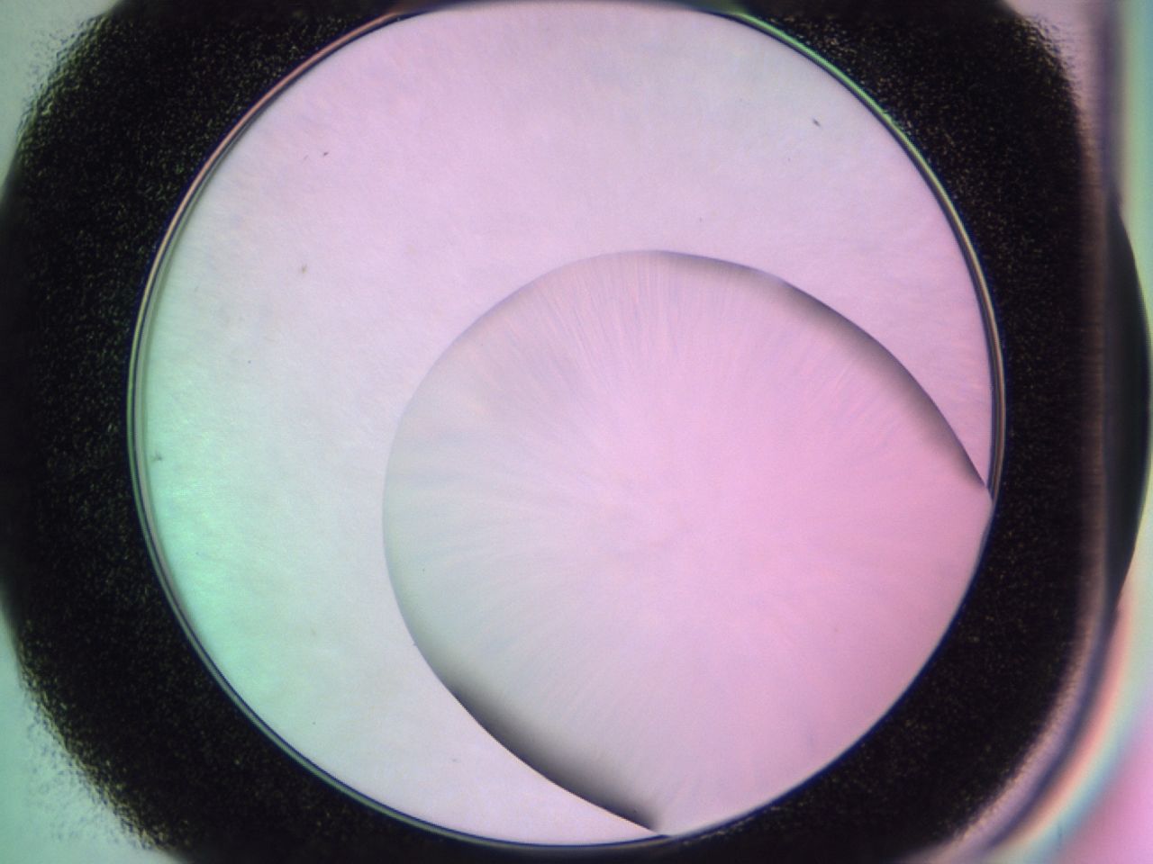01dc_C7_ImagerDefaults_1.jpg