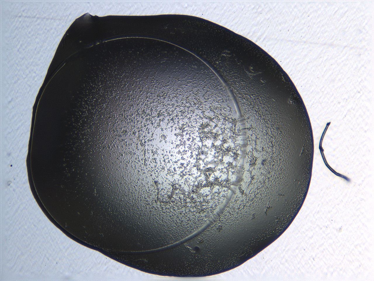 04or_G11_ImagerDefaults_3.jpg
