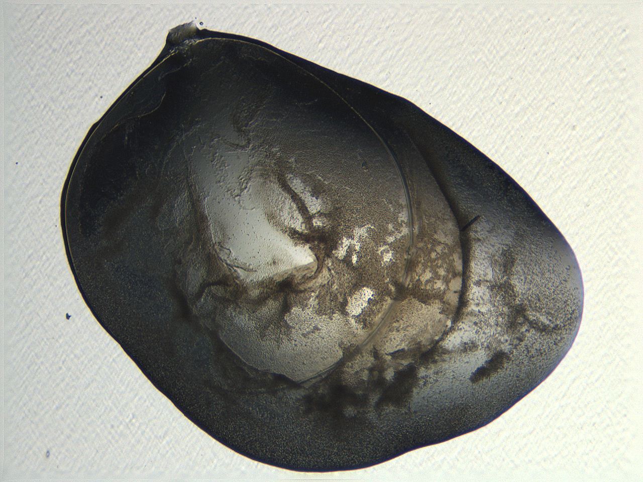 04or_G12_ImagerDefaults_3.jpg