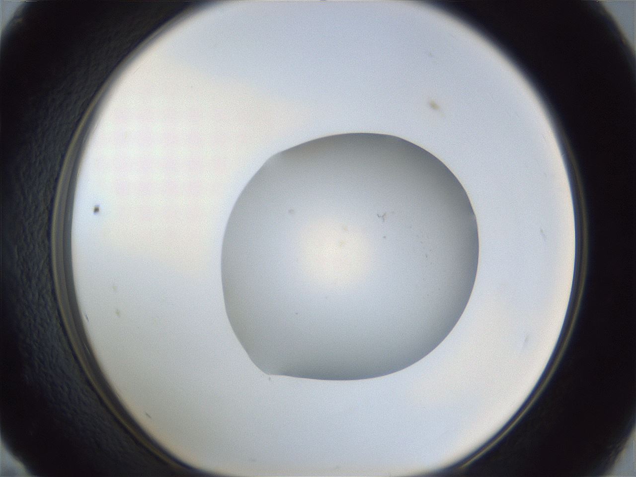 folderID934_plateID934_batchID1279_wellNum59_profileID1_d1_r34583_ef.jpg