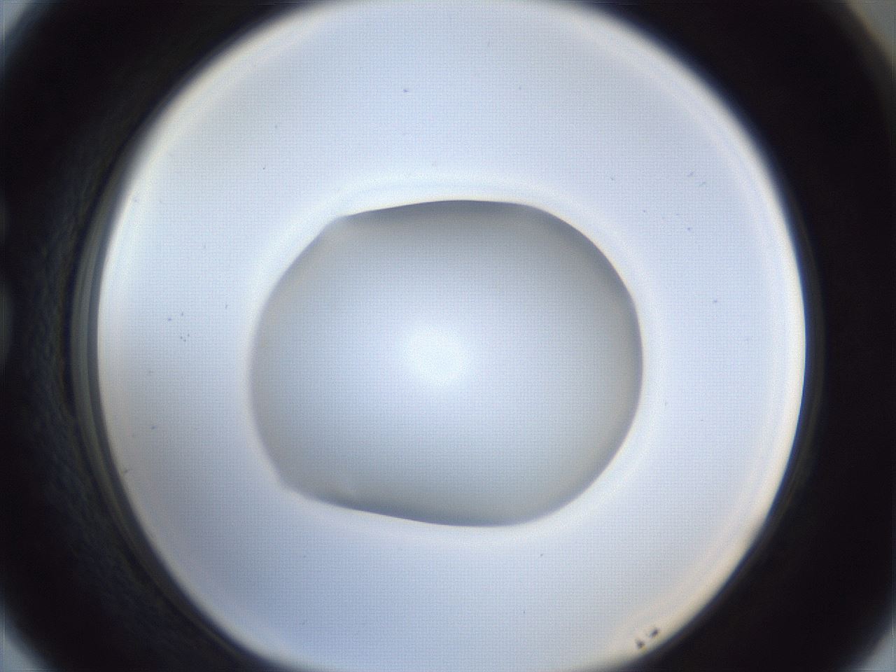 folderID934_plateID934_batchID1279_wellNum77_profileID1_d1_r34619_ef.jpg