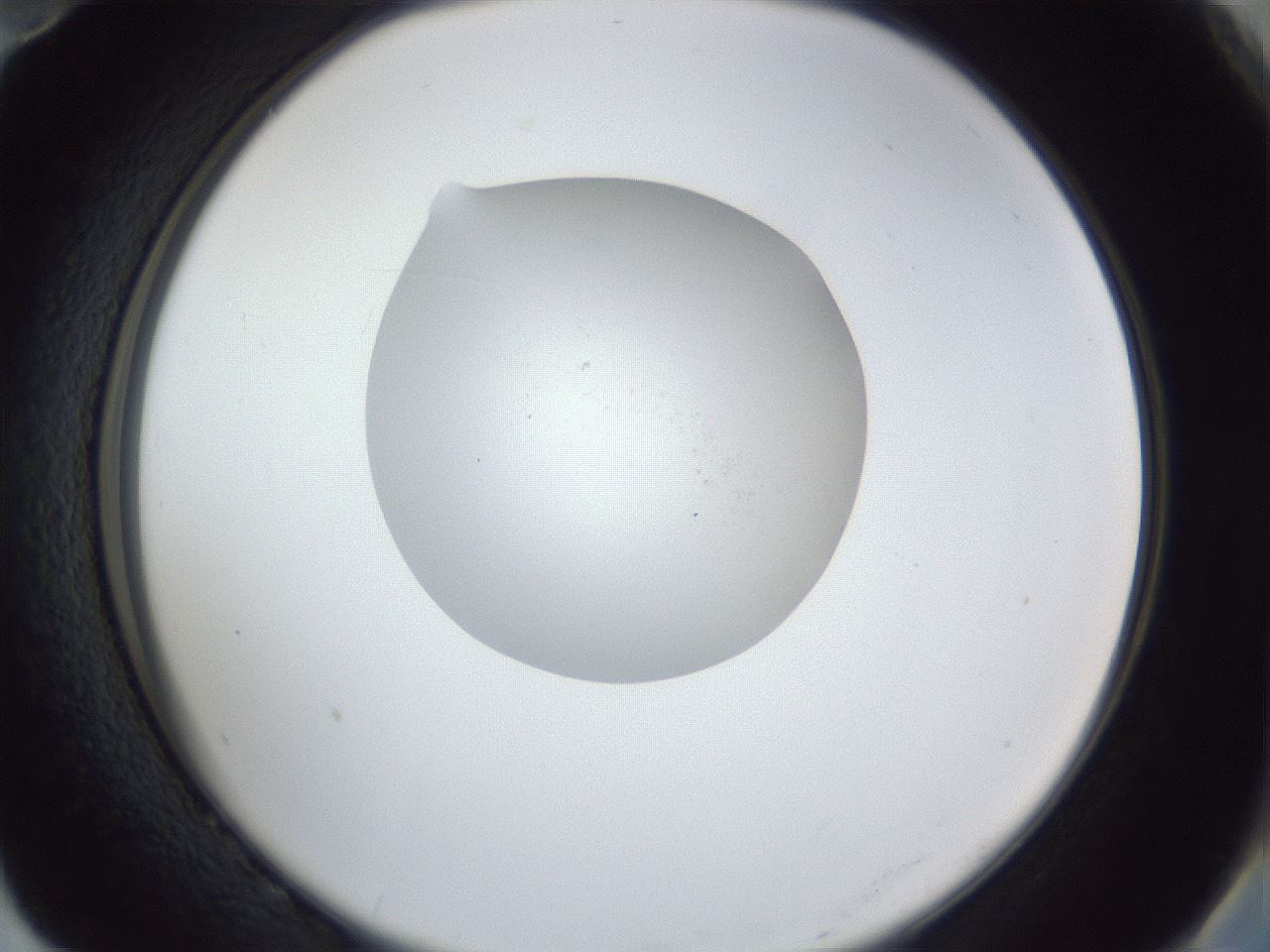 folderID934_plateID934_batchID1279_wellNum82_profileID1_d2_r34630_ef.jpg