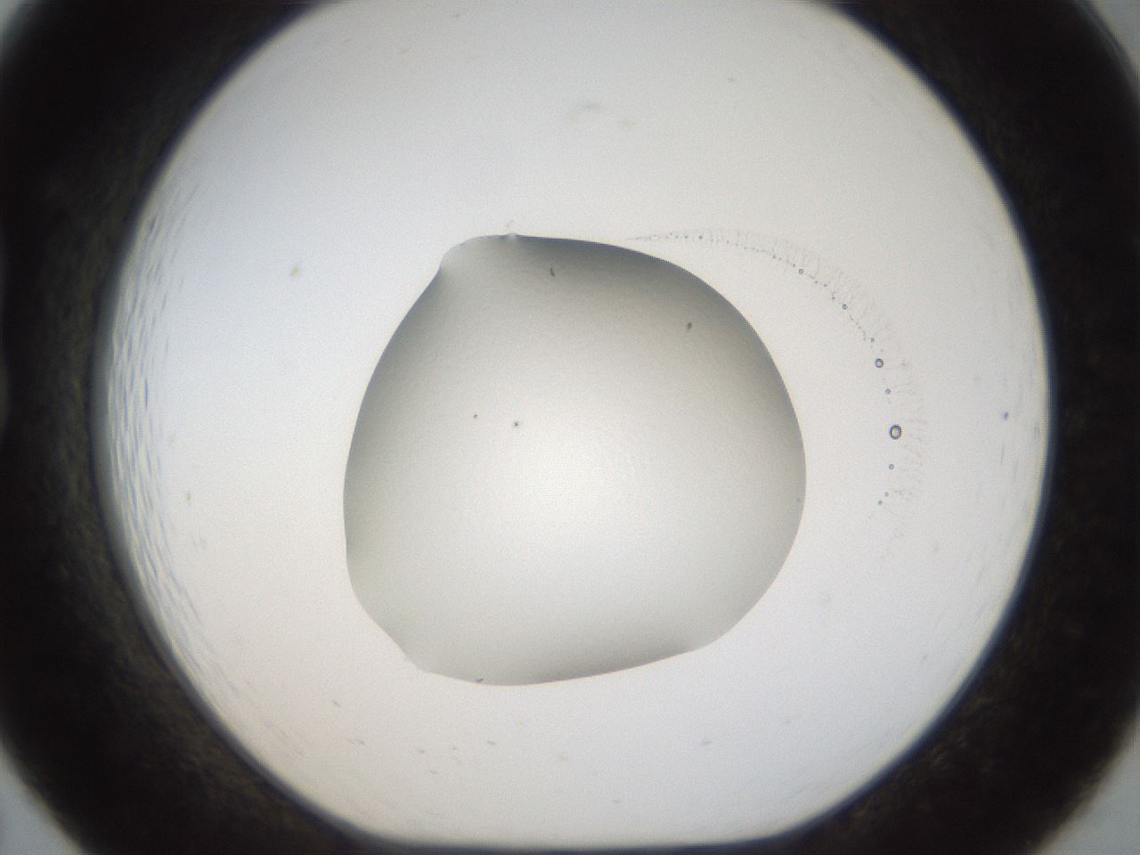 folderID935_plateID935_batchID1283_wellNum19_profileID1_d1_r34695_ef.jpg