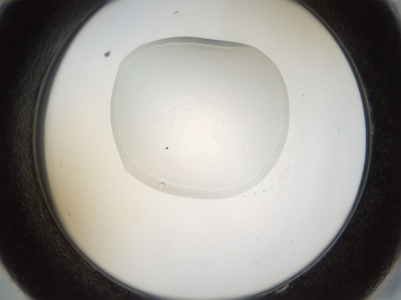 folderID935_plateID935_batchID1543_wellNum58_profileID1_d2_r34774_ef.jpg