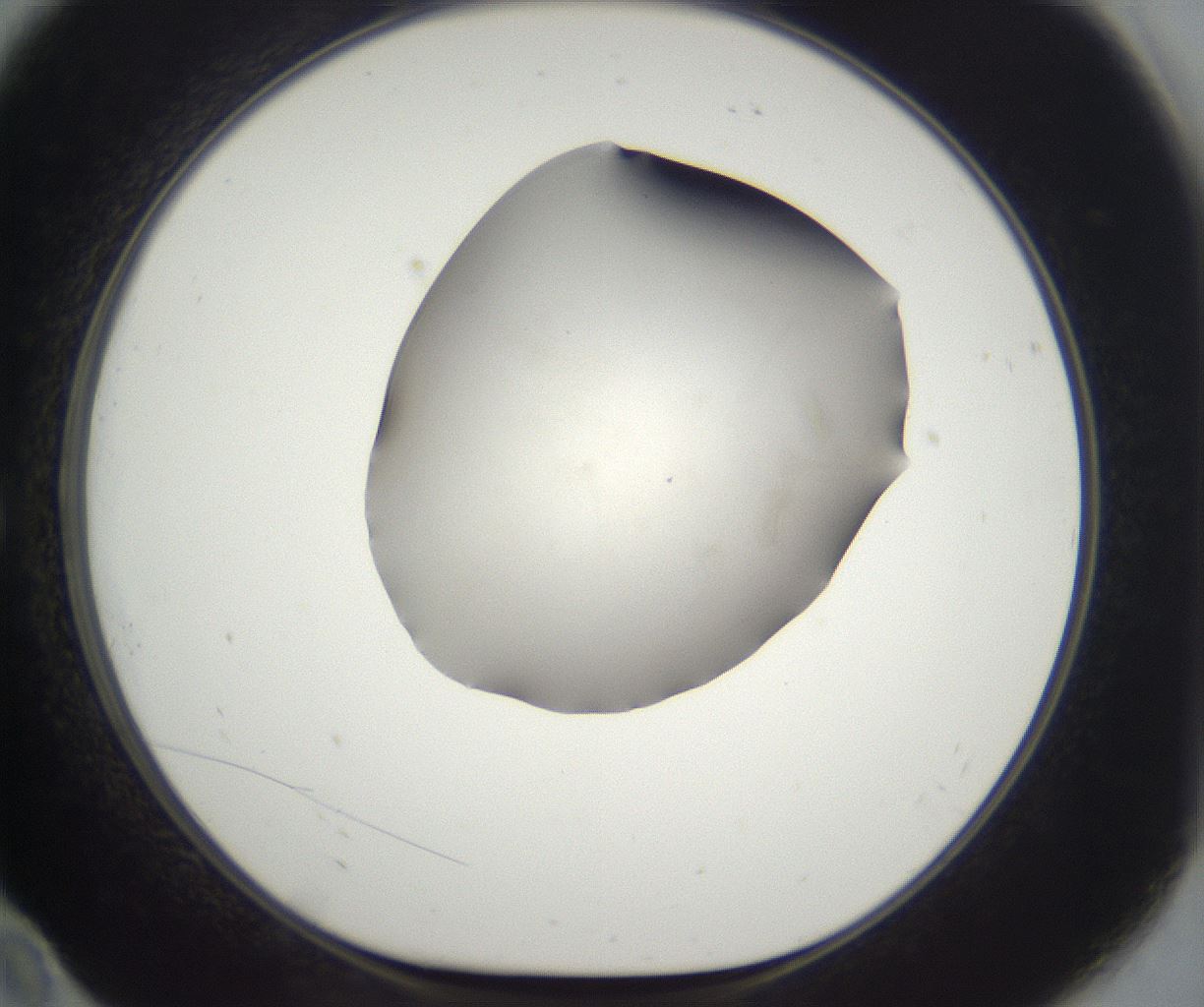 folderID936_plateID1936_batchID12428_wellNum10_profileID1_d1_r188741_ef.jpg