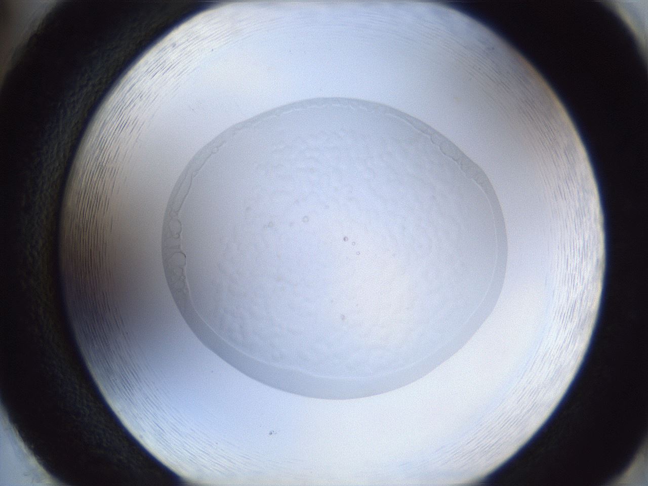 folderID936_plateID936_batchID1137_wellNum86_profileID1_d2_r35022_ef.jpg