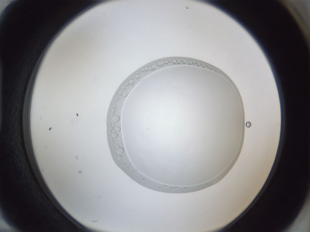 folderID936_plateID936_batchID1202_wellNum94_profileID1_d1_r35037_ef.jpg