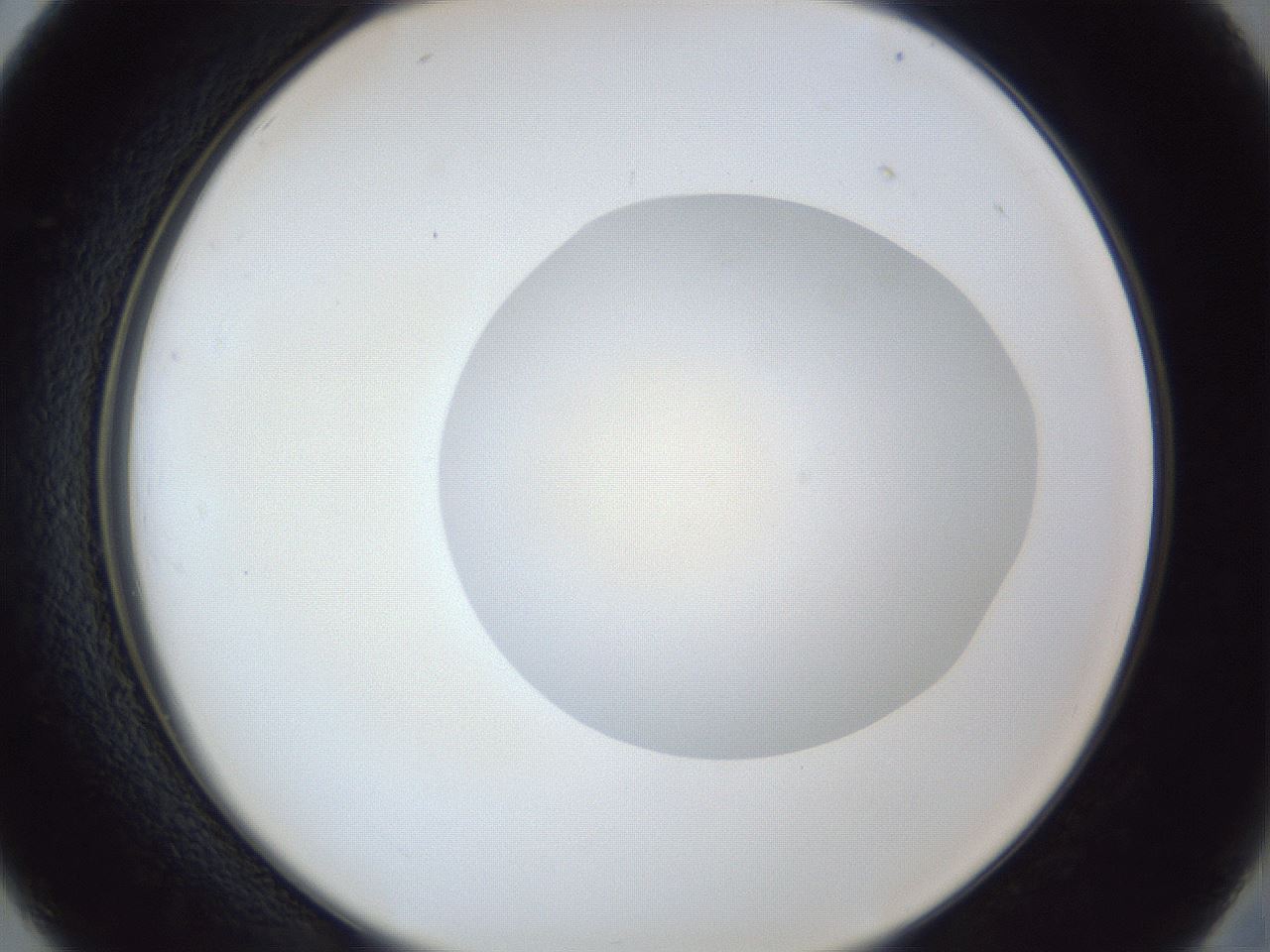 folderID936_plateID936_batchID1284_wellNum26_profileID1_d2_r34902_ef.jpg