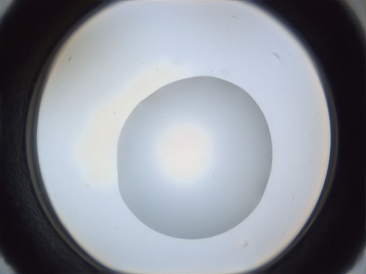 folderID936_plateID936_batchID1284_wellNum40_profileID1_d1_r34929_ef.jpg
