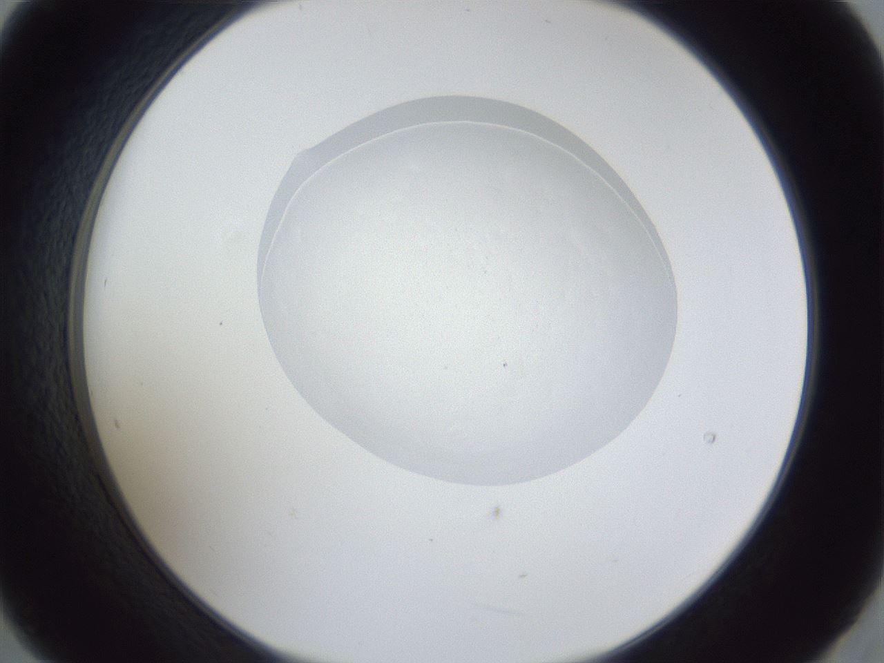folderID936_plateID936_batchID1284_wellNum21_profileID1_d2_r34892_ef.jpg
