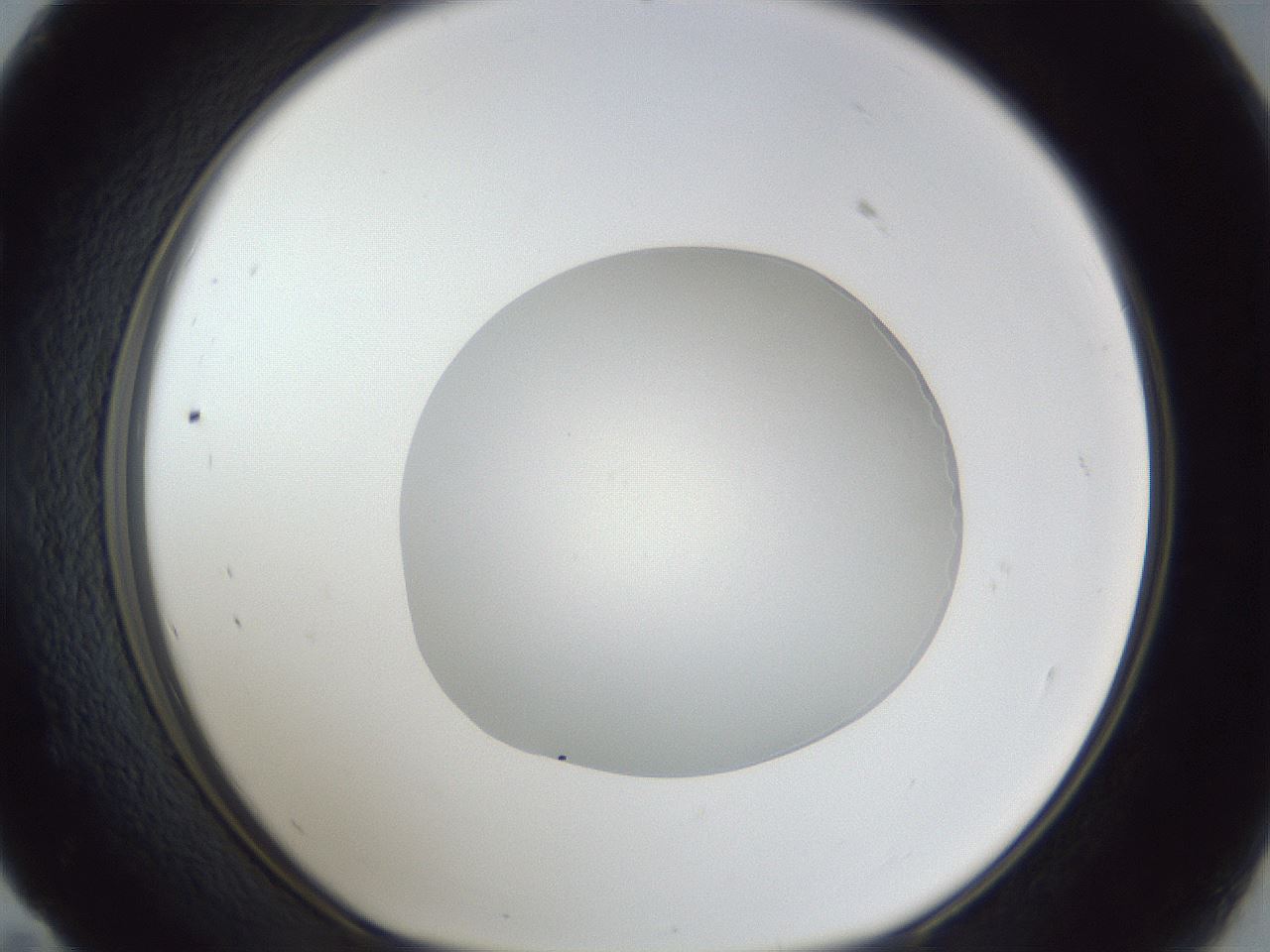 folderID936_plateID936_batchID1284_wellNum59_profileID1_d1_r34967_ef.jpg