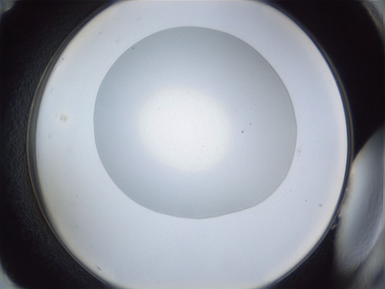 folderID936_plateID936_batchID1284_wellNum83_profileID1_d2_r35016_ef.jpg