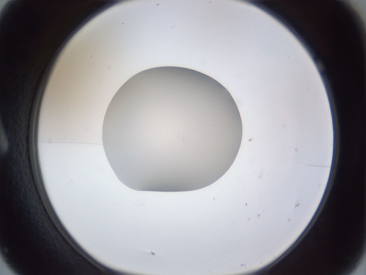 folderID937_plateID937_batchID1291_wellNum7_profileID1_d1_r35145_ef.jpg