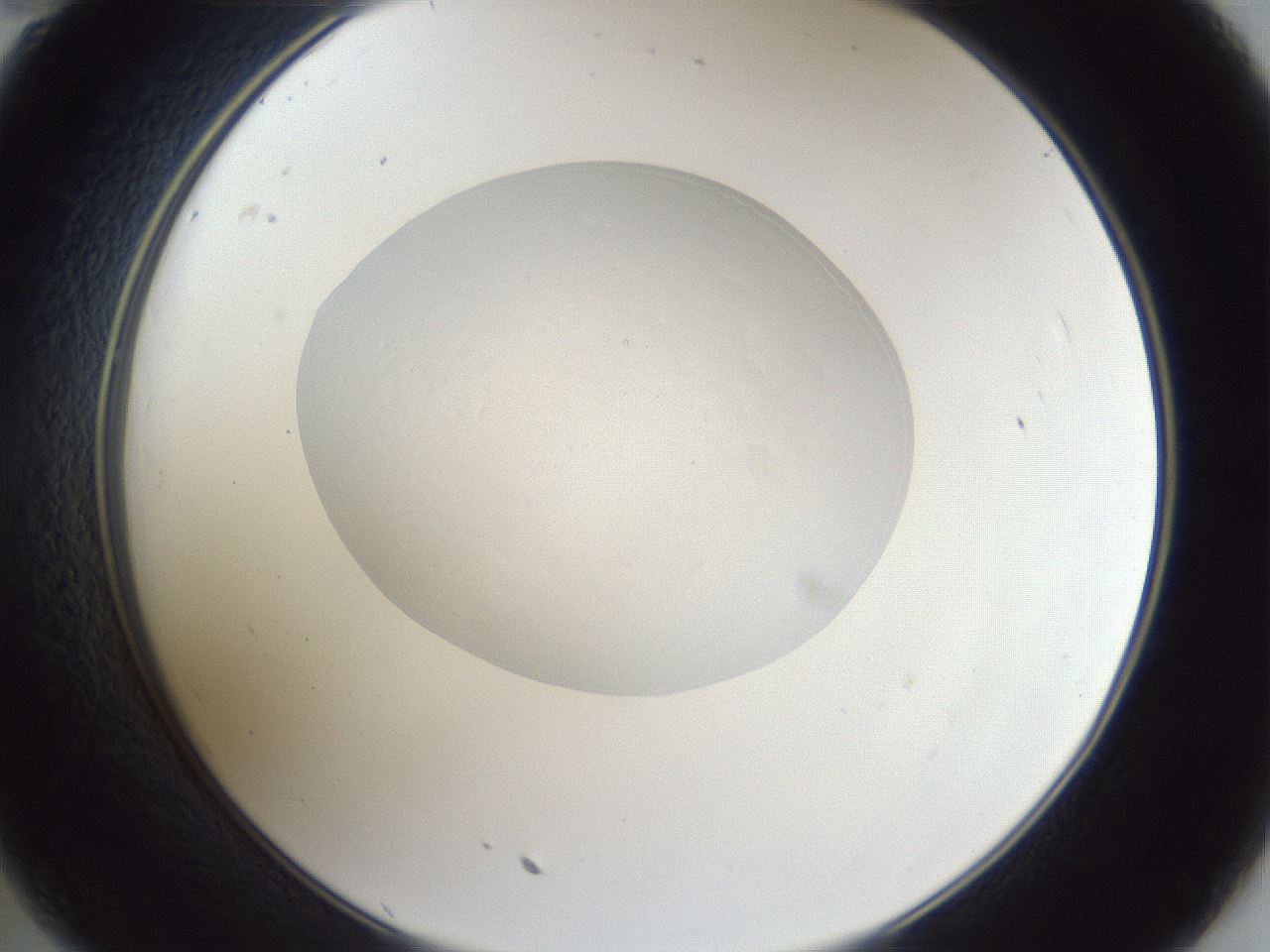 folderID936_plateID936_batchID1544_wellNum35_profileID1_d2_r34920_ef.jpg