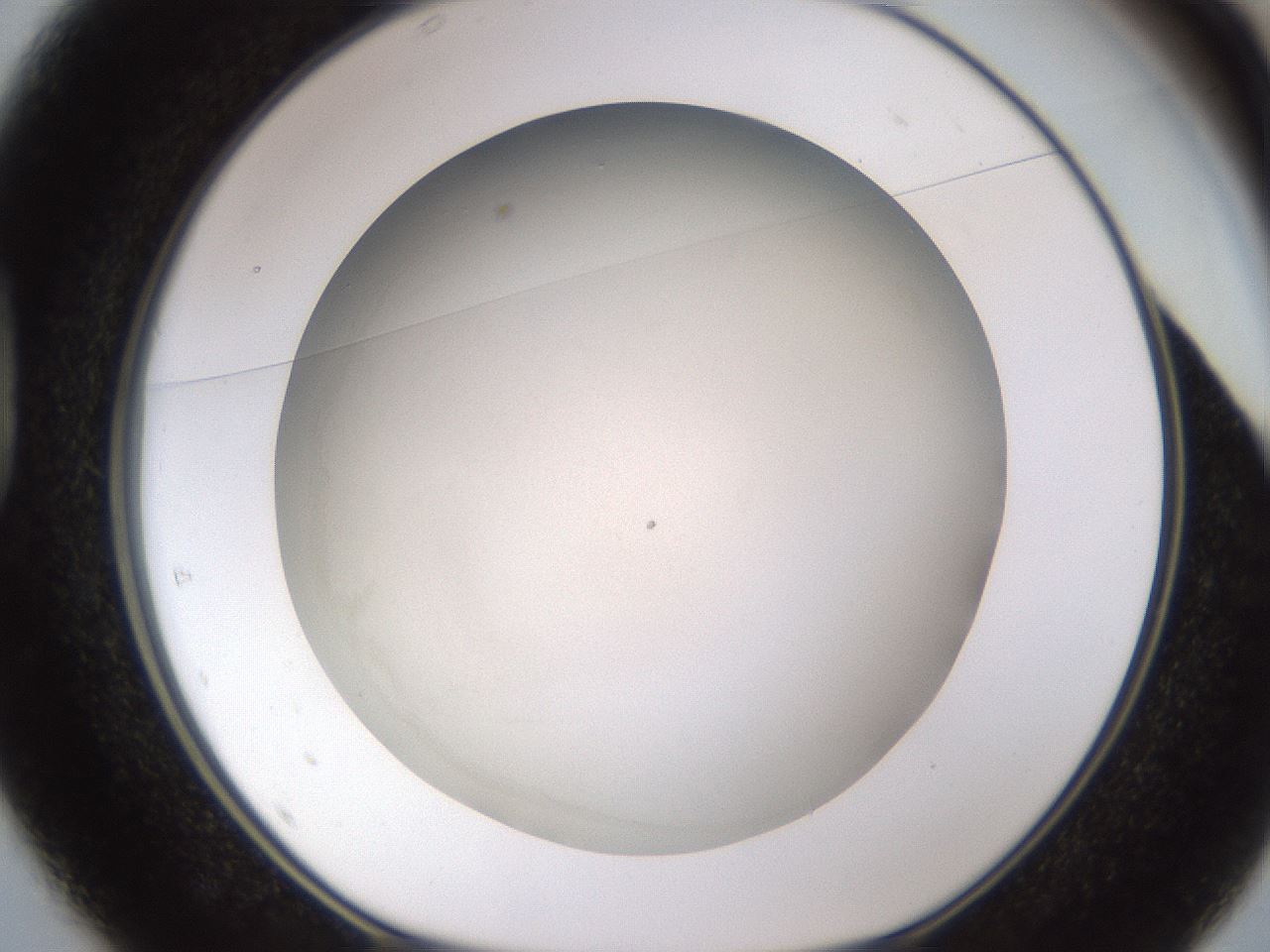 folderID939_plateID2939_batchID15820_wellNum37_profileID1_d1_r242036_ef.jpg