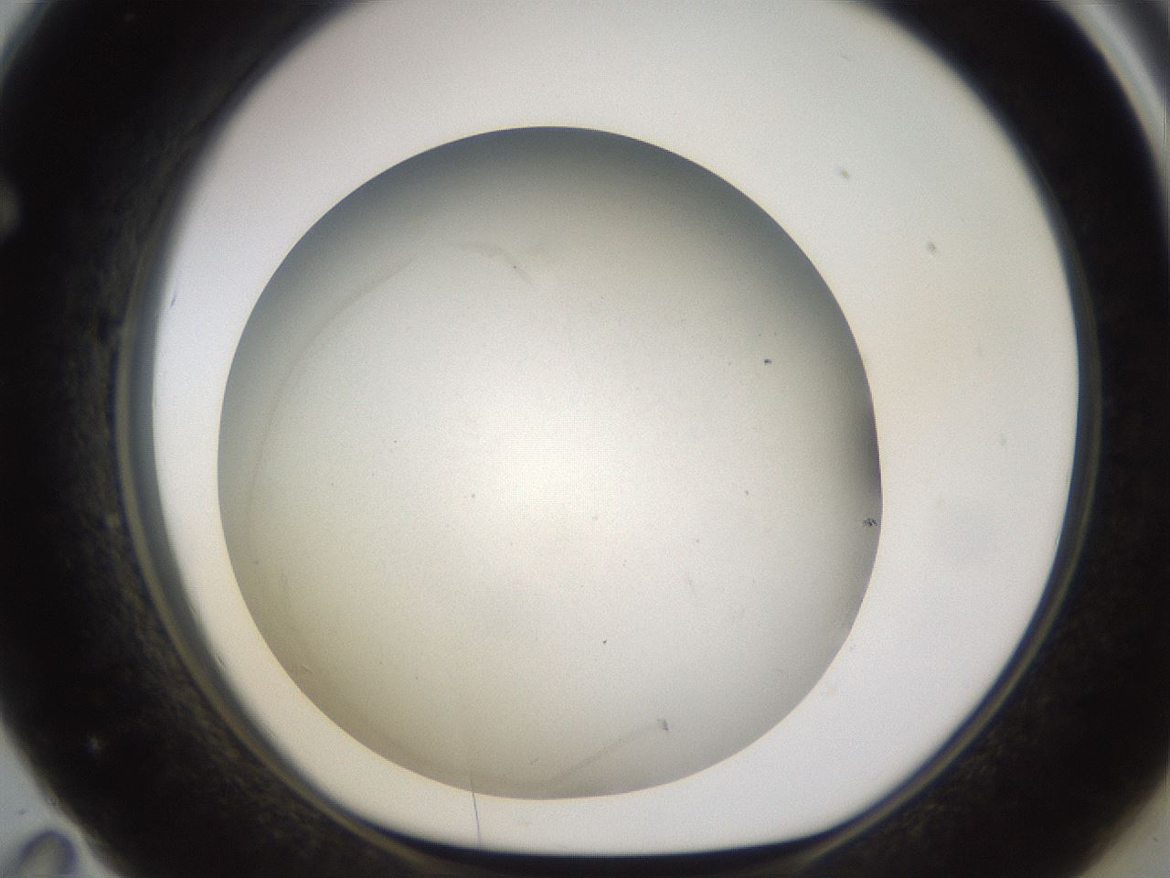 folderID939_plateID2939_batchID15820_wellNum71_profileID1_d1_r242104_ef.jpg