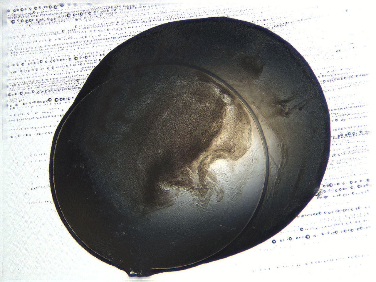04os_C11_ImagerDefaults_3.jpg