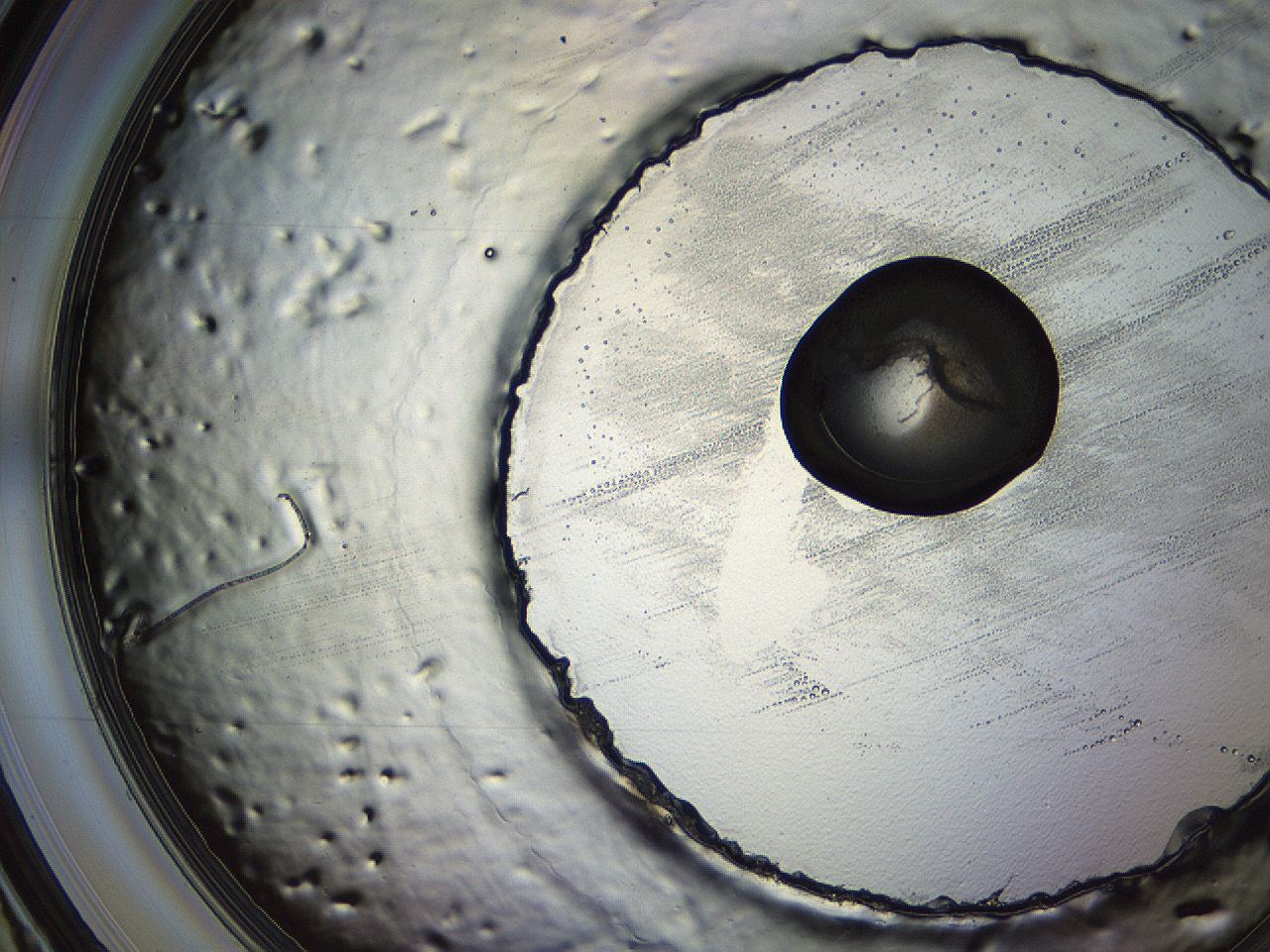 04os_C12_ImagerDefaults_3.jpg