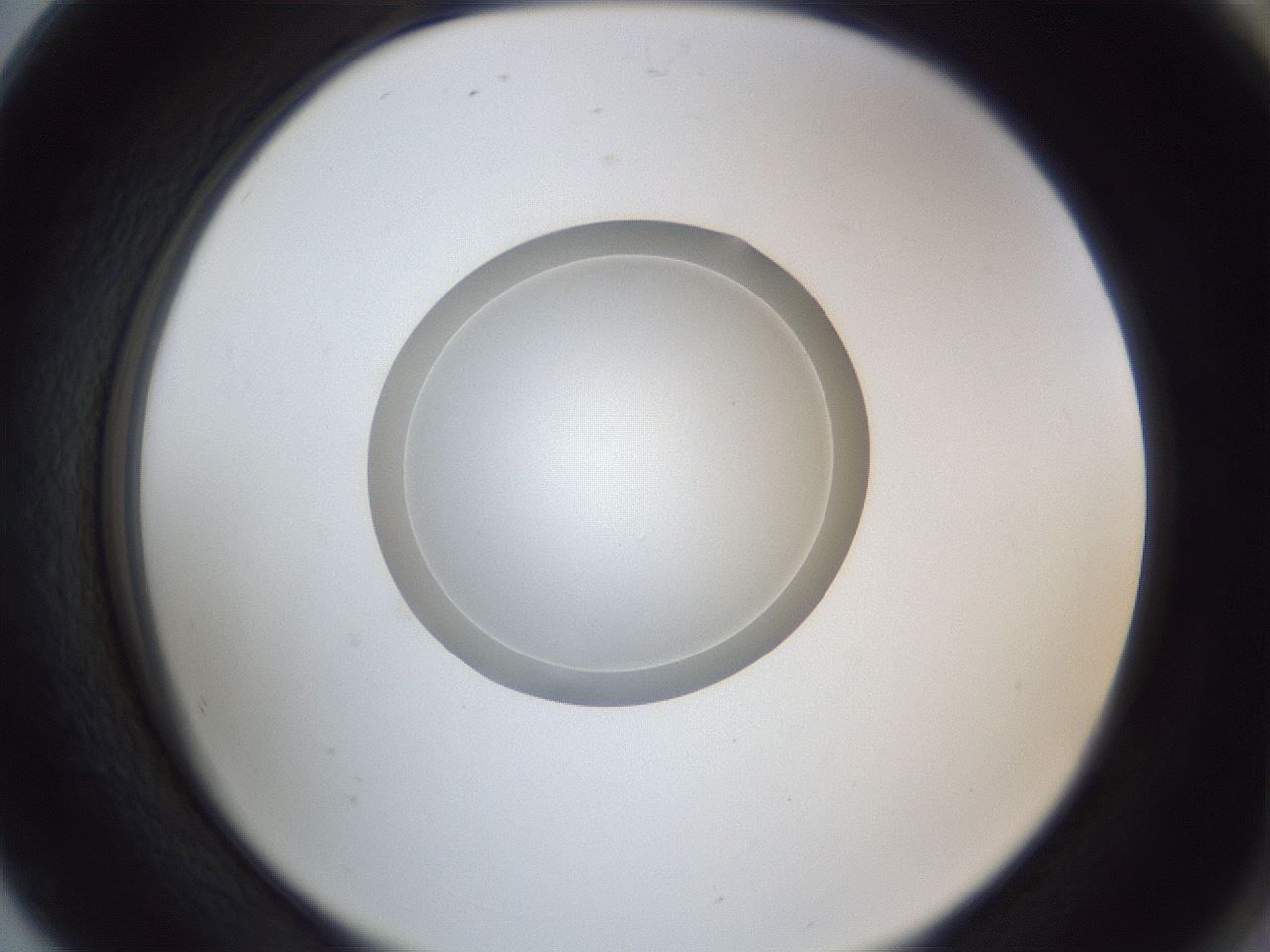 folderID93_plateID1093_batchID2303_wellNum80_profileID1_d2_r48724_ef.jpg