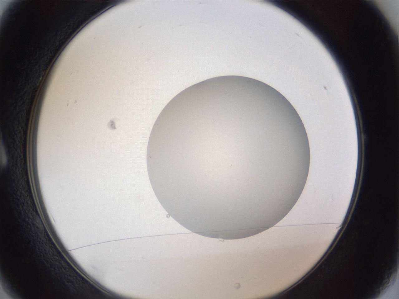 folderID93_plateID1093_batchID2530_wellNum1_profileID1_d1_r48565_ef.jpg