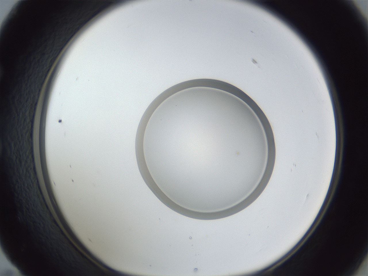 folderID93_plateID1093_batchID2303_wellNum59_profileID1_d1_r48681_ef.jpg