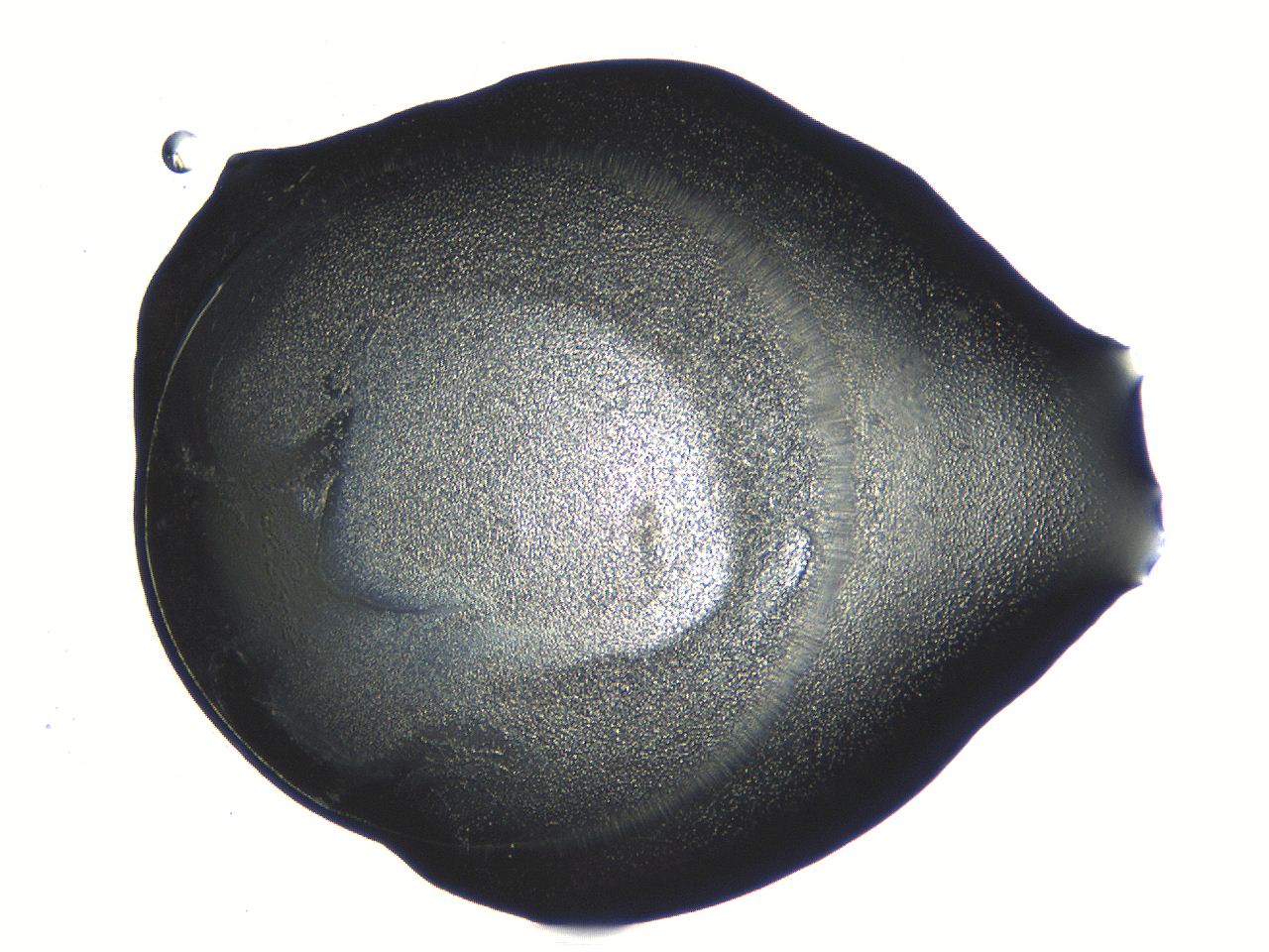 04os_D12_ImagerDefaults_3.jpg