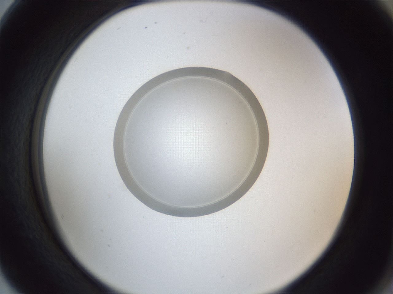 folderID93_plateID1093_batchID2530_wellNum80_profileID1_d2_r48724_ef.jpg