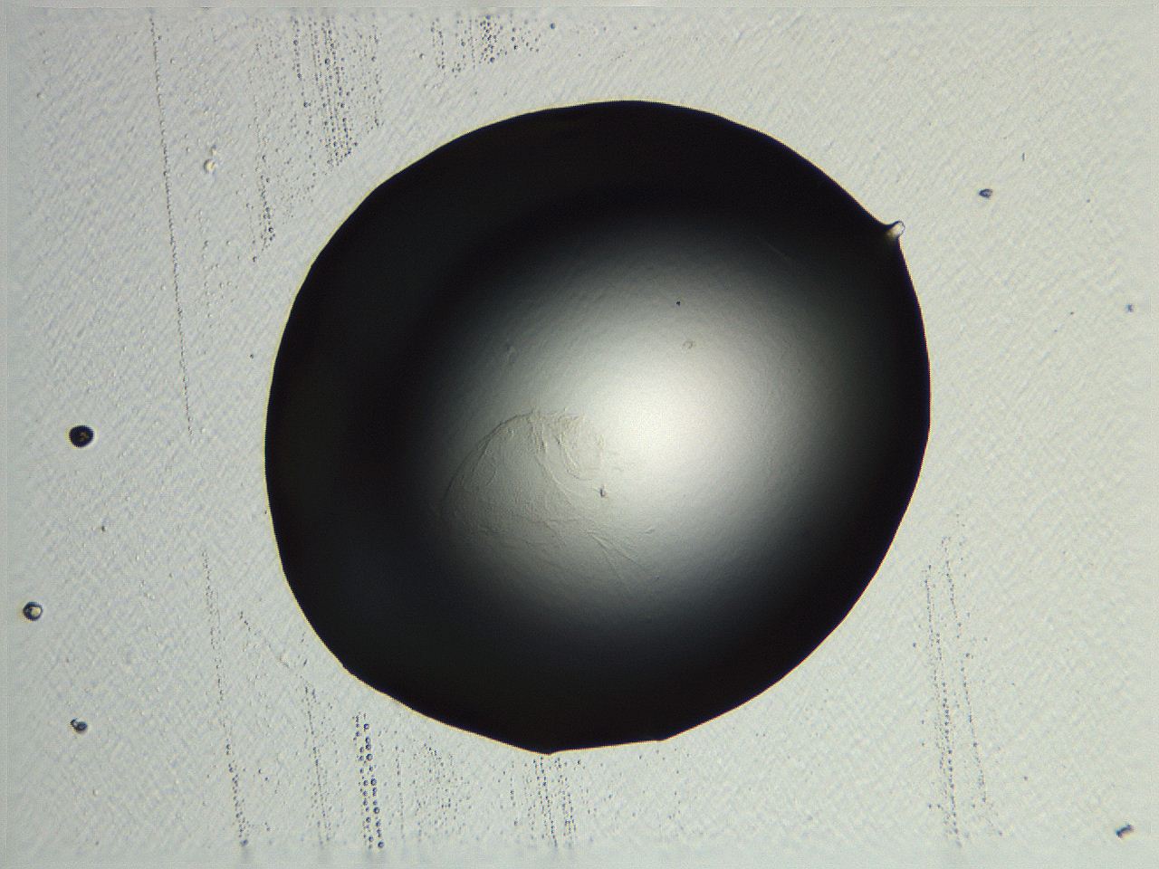 04os_F4_ImagerDefaults_0.jpg