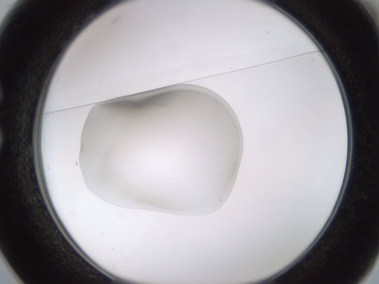 folderID93_plateID3093_batchID17893_wellNum25_profileID1_d1_r260505_ef.jpg