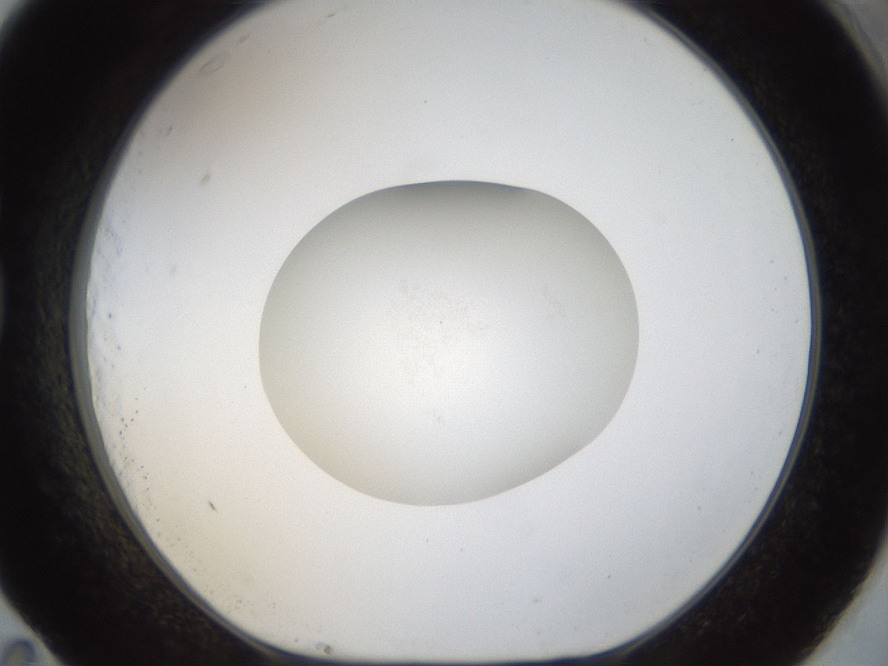 folderID940_plateID940_batchID1226_wellNum83_profileID1_d1_r35413_ef.jpg