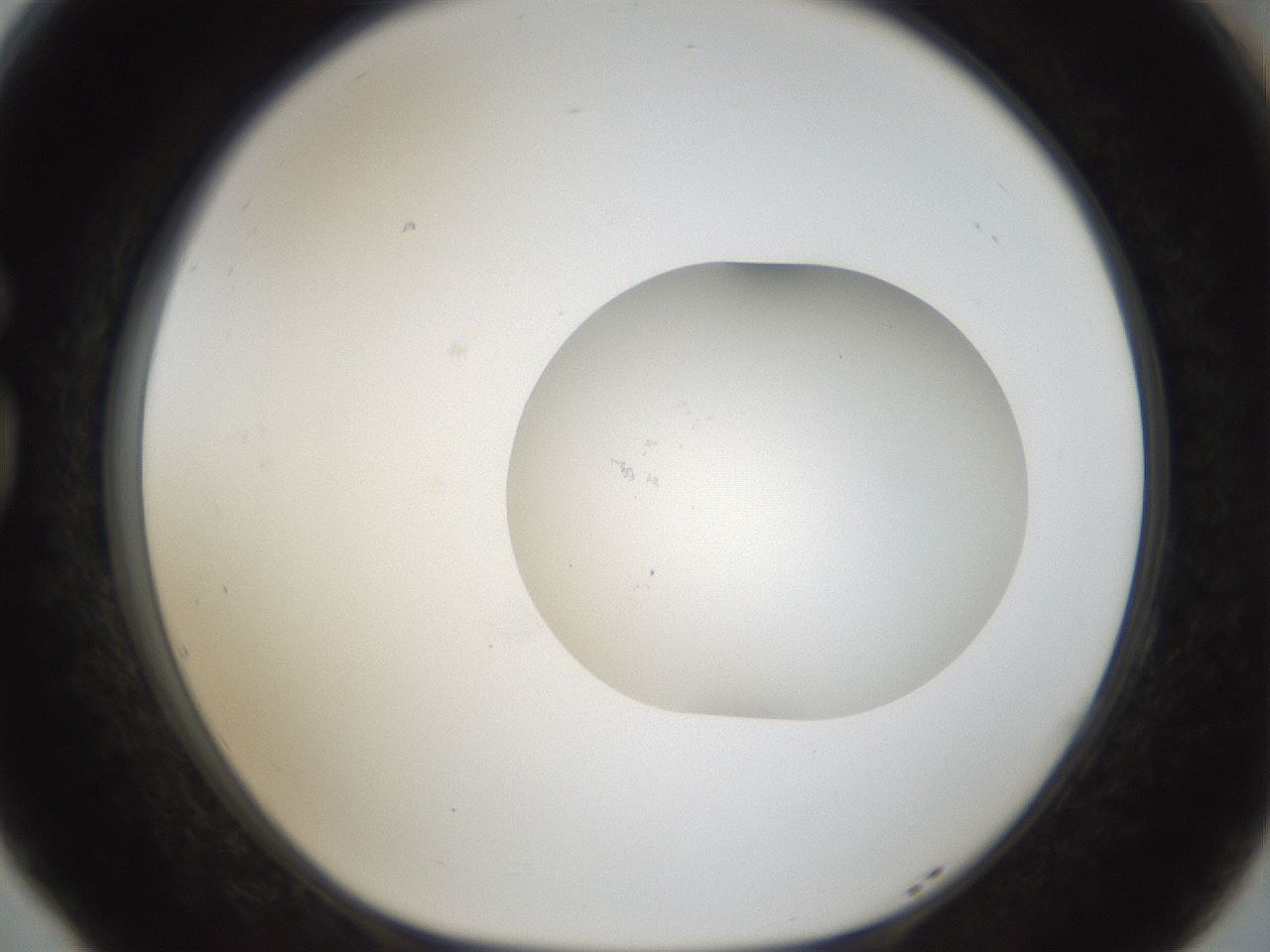 folderID940_plateID940_batchID1274_wellNum77_profileID1_d1_r35407_ef.jpg