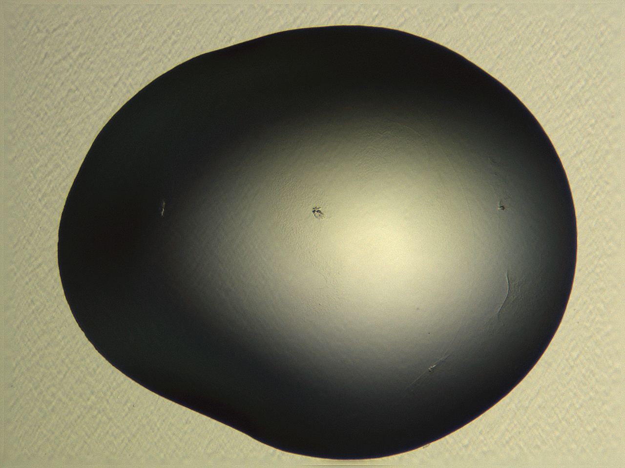 04os_G6_ImagerDefaults_0.jpg