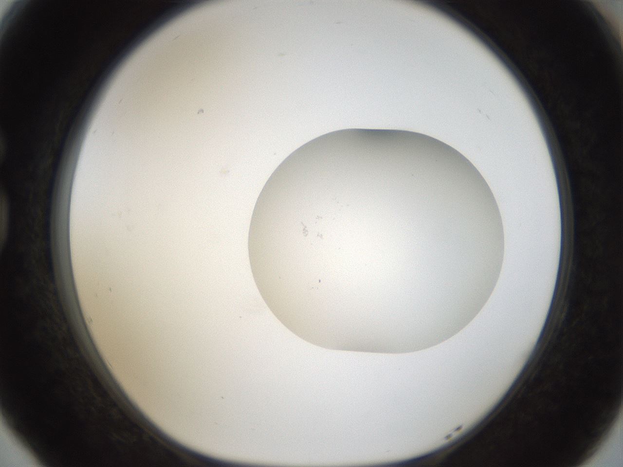 folderID940_plateID940_batchID1292_wellNum77_profileID1_d1_r35407_ef.jpg