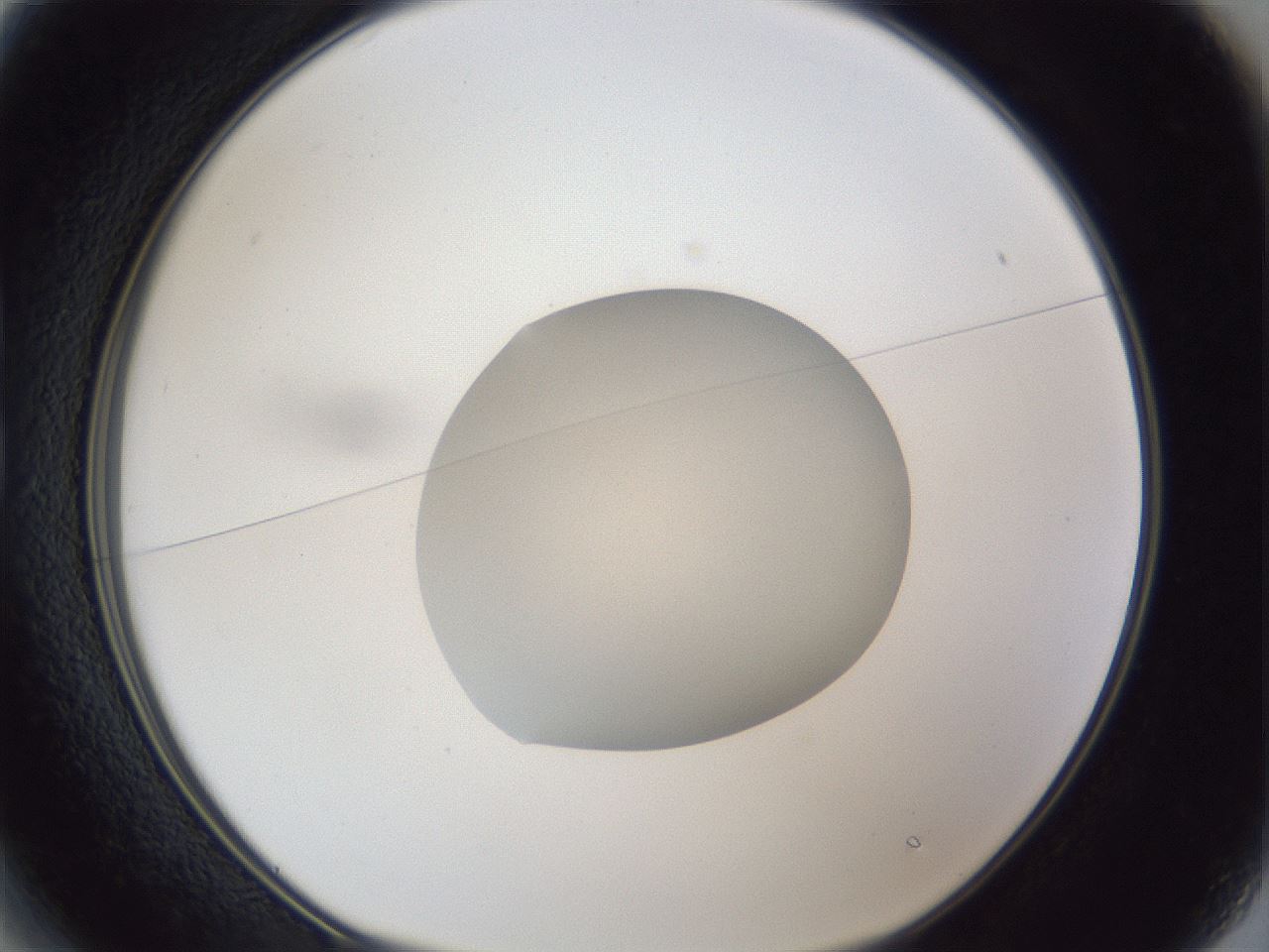folderID941_plateID941_batchID1293_wellNum13_profileID1_d1_r35247_ef.jpg