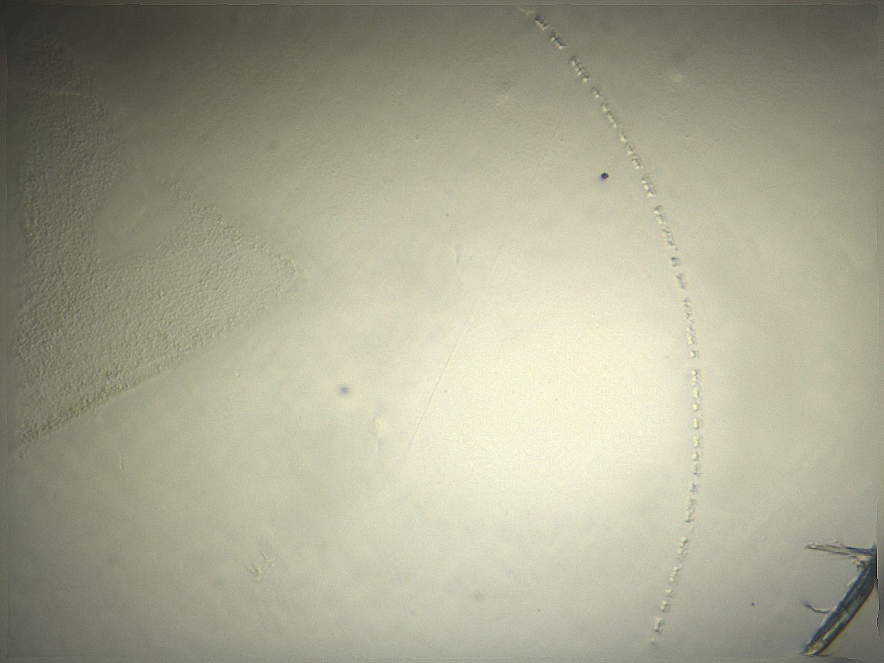 04os_H10_ImagerDefaults_0.jpg