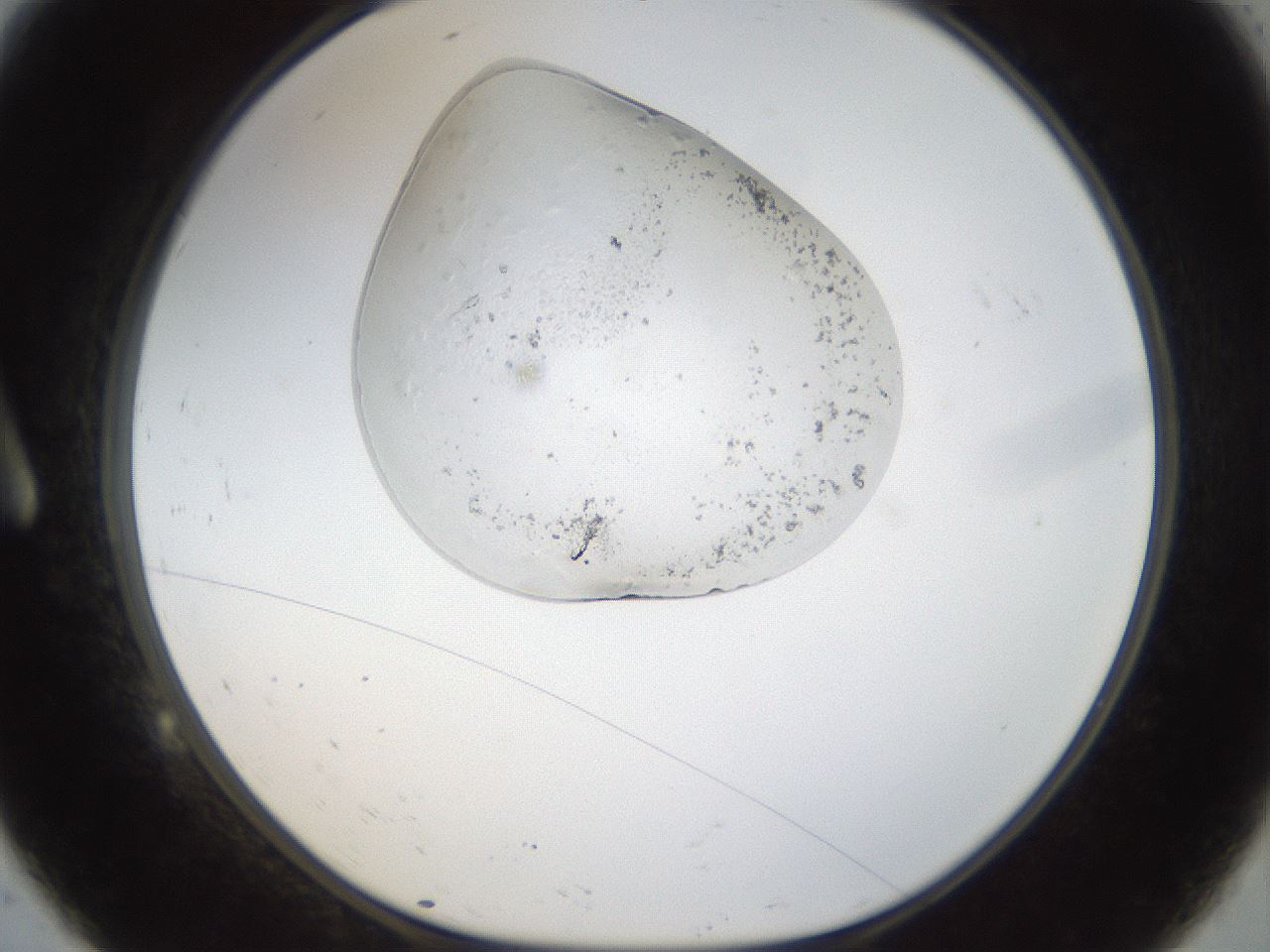folderID942_plateID942_batchID1294_wellNum9_profileID1_d1_r35531_ef.jpg