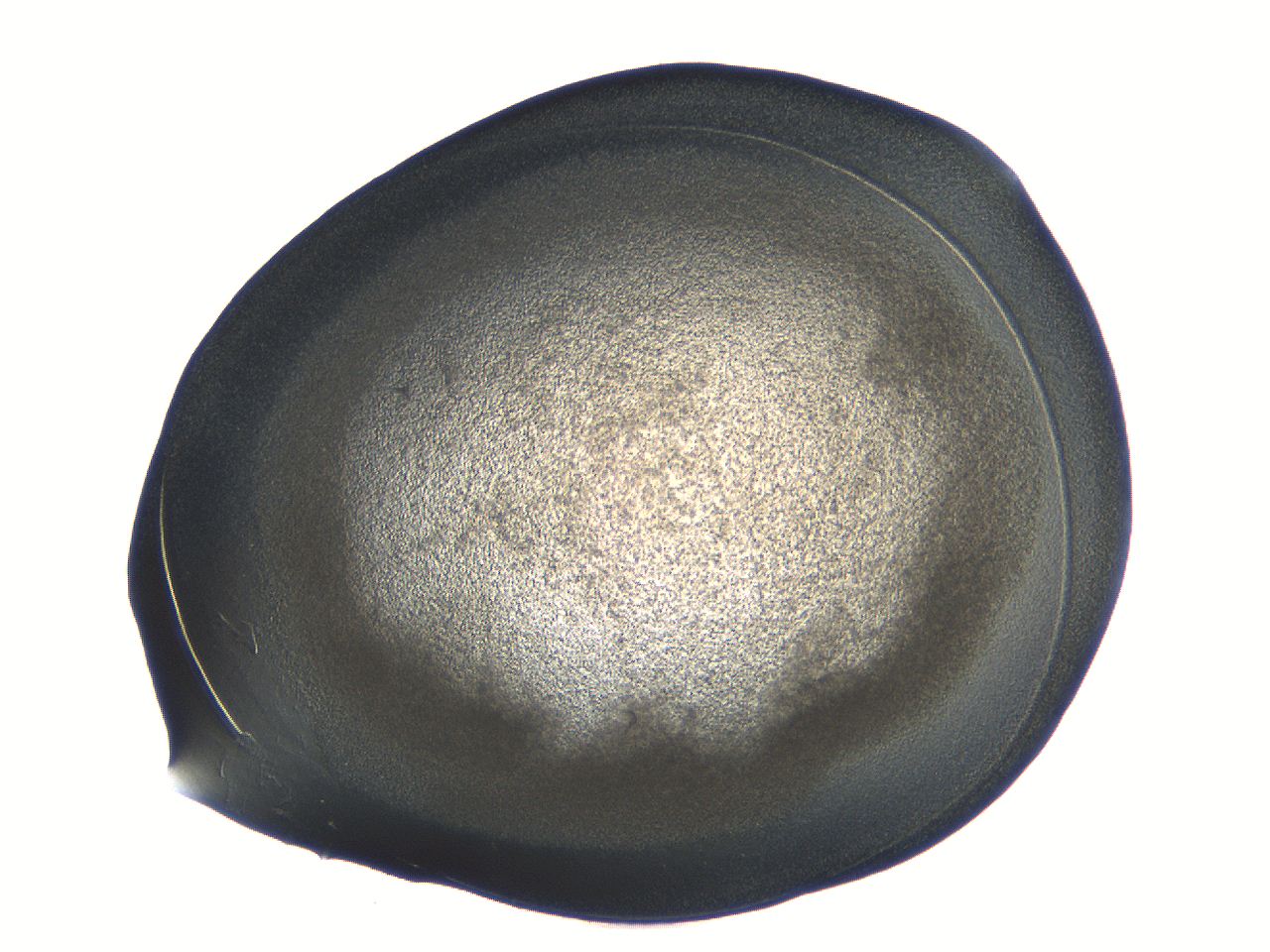 04ot_C6_ImagerDefaults_3.jpg
