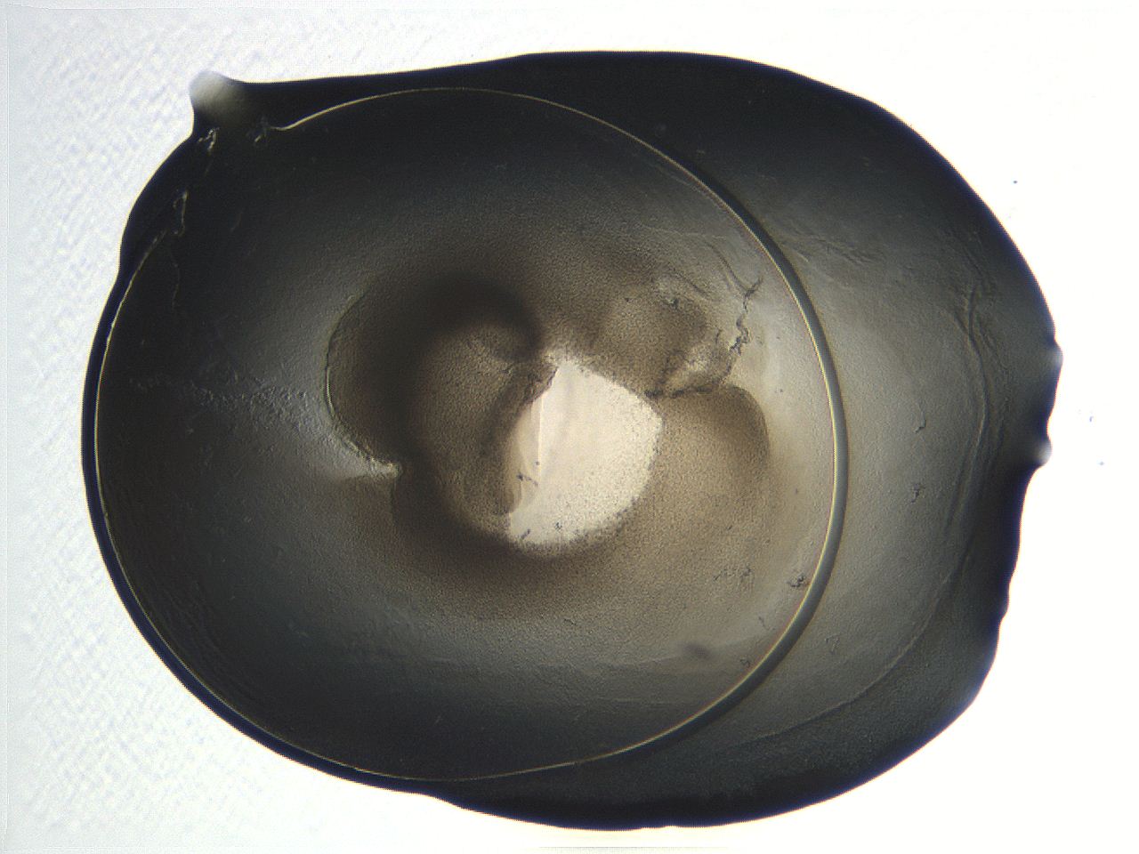 04ot_B12_ImagerDefaults_3.jpg