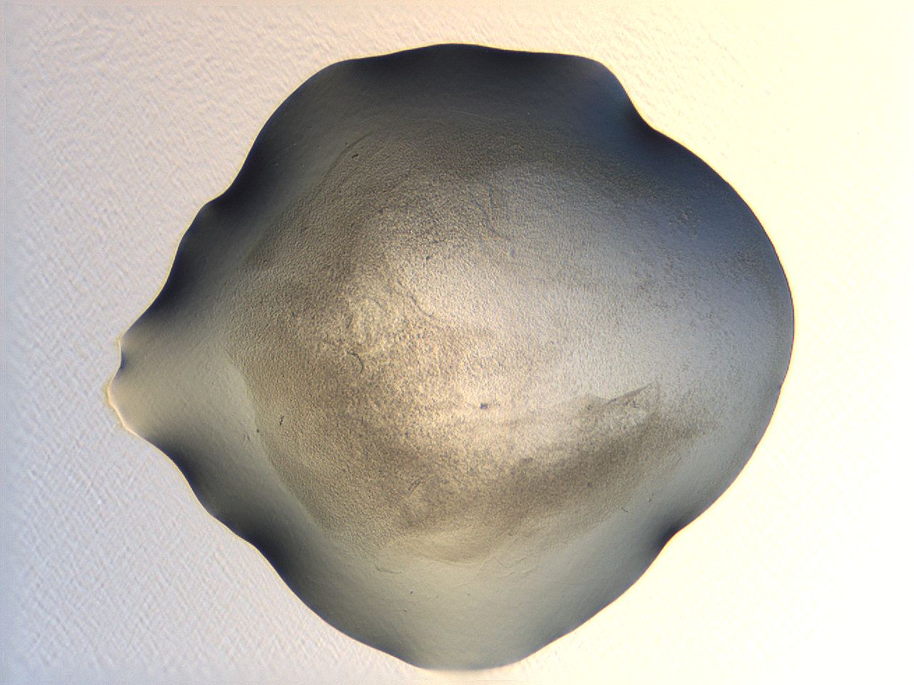 04ot_A3_ImagerDefaults_3.jpg