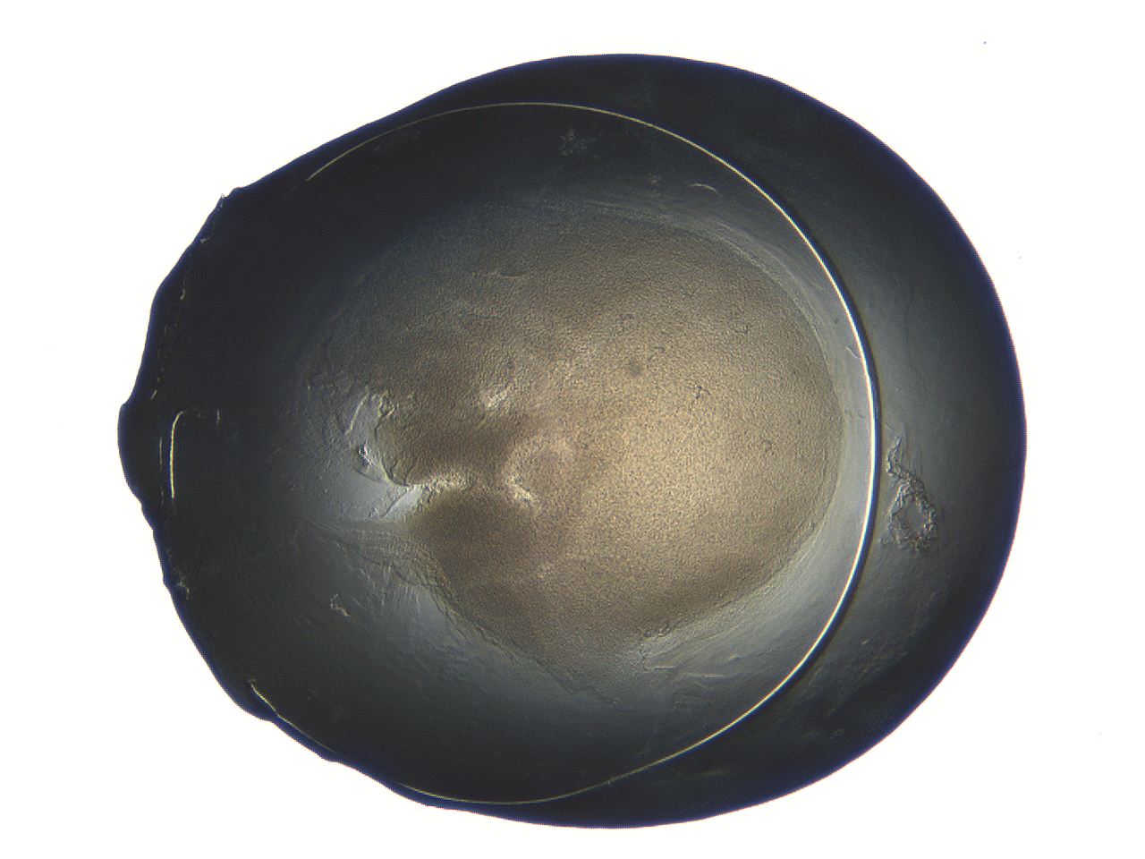 04ot_B11_ImagerDefaults_3.jpg