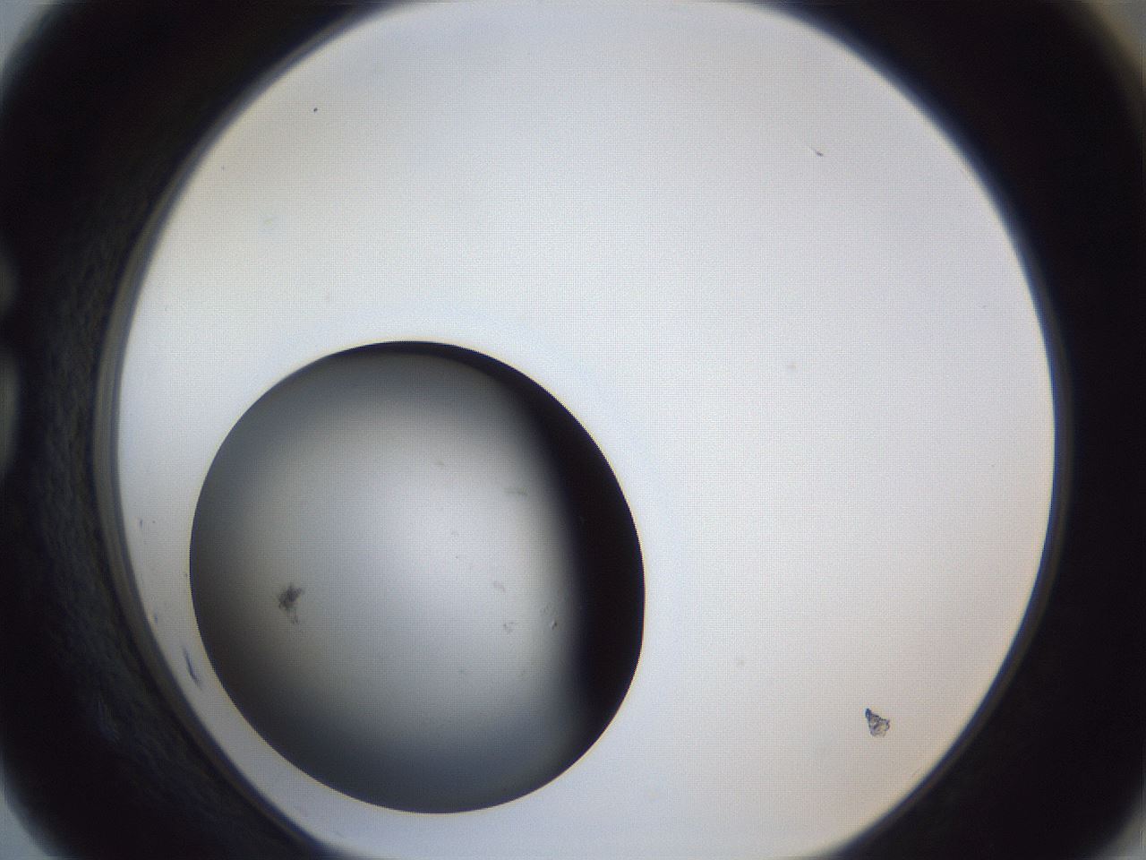 folderID945_plateID945_batchID1309_wellNum75_profileID1_d1_r35789_ef.jpg
