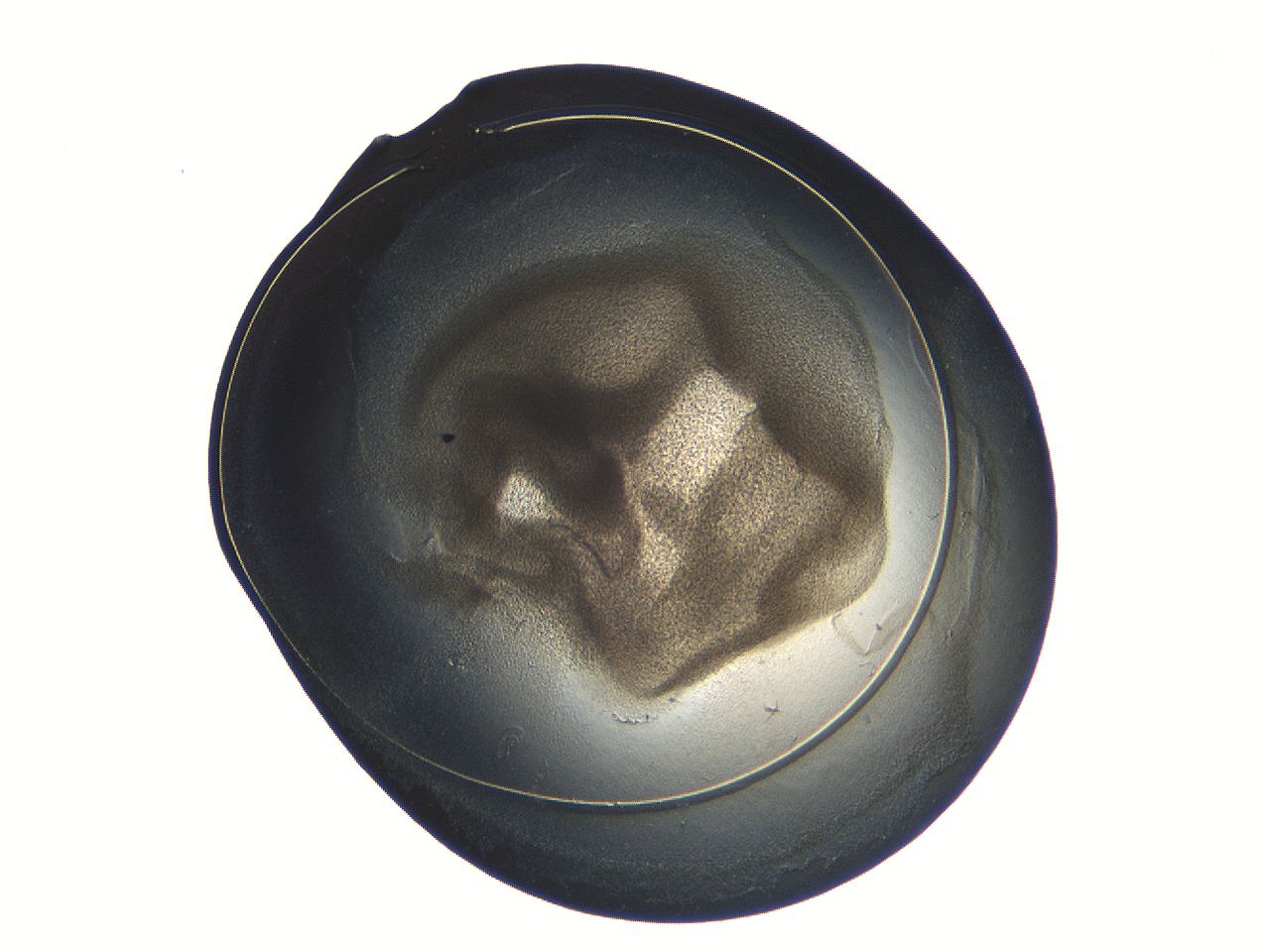 04ot_C10_ImagerDefaults_3.jpg