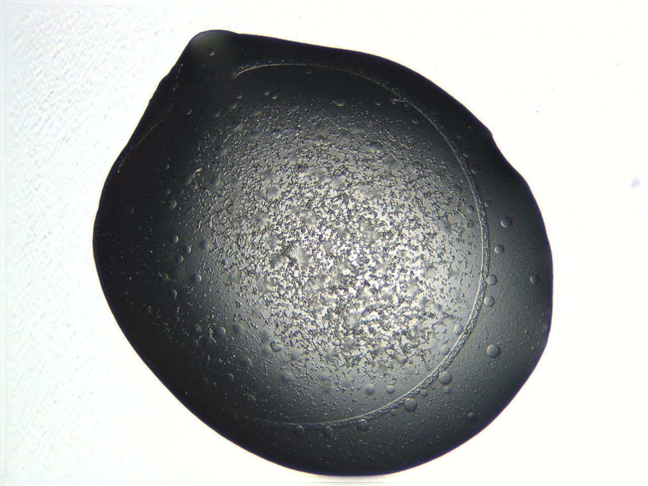 04ot_C11_ImagerDefaults_3.jpg