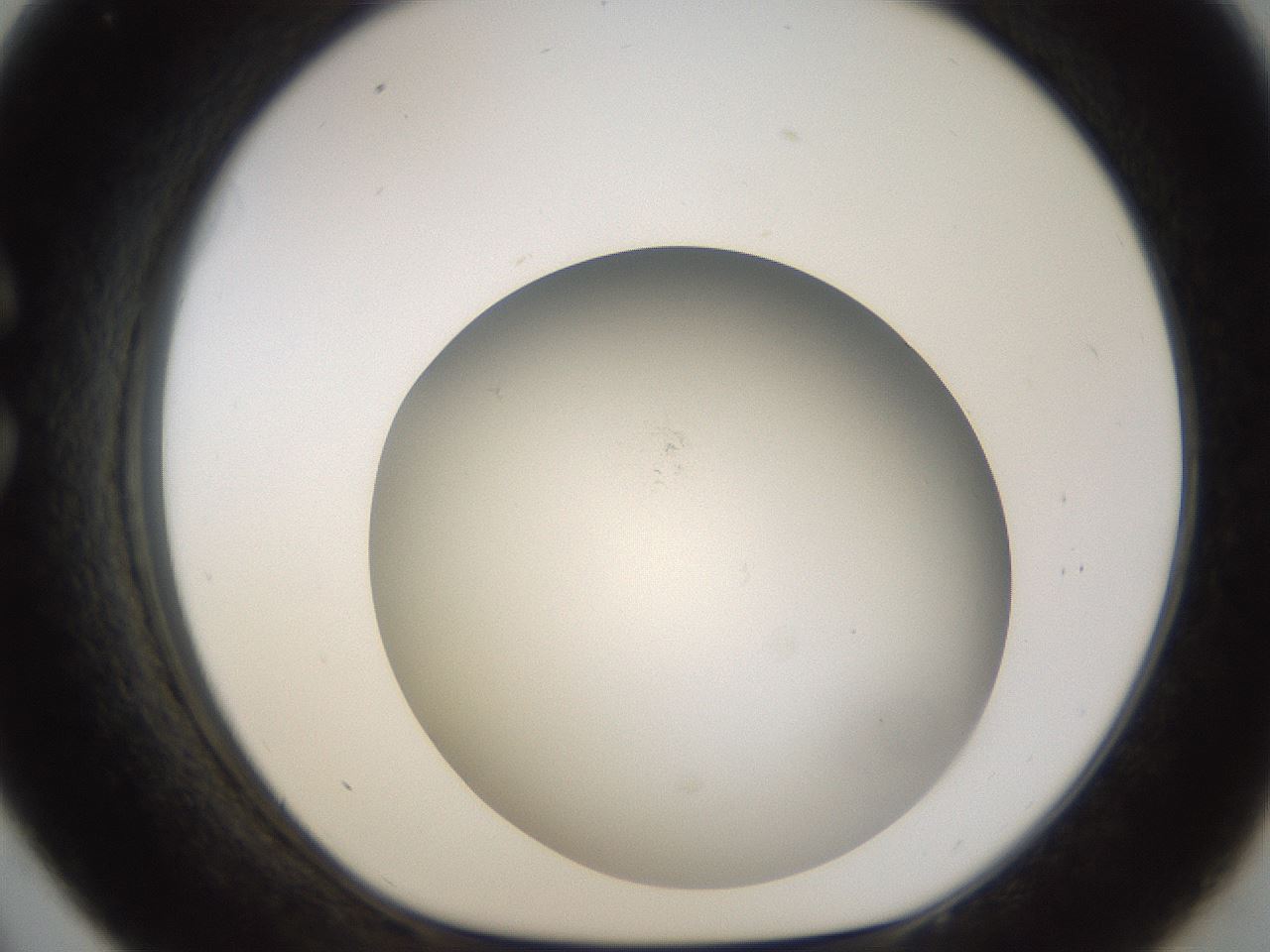 folderID947_plateID2947_batchID16030_wellNum33_profileID1_d1_r243154_ef.jpg
