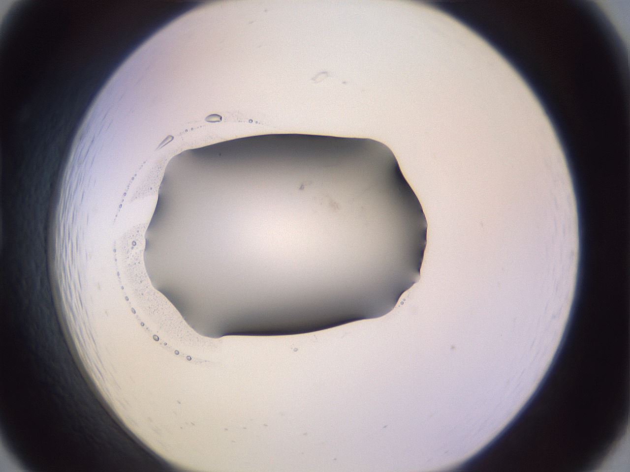 folderID948_plateID2948_batchID16031_wellNum19_profileID1_d1_r243236_ef.jpg