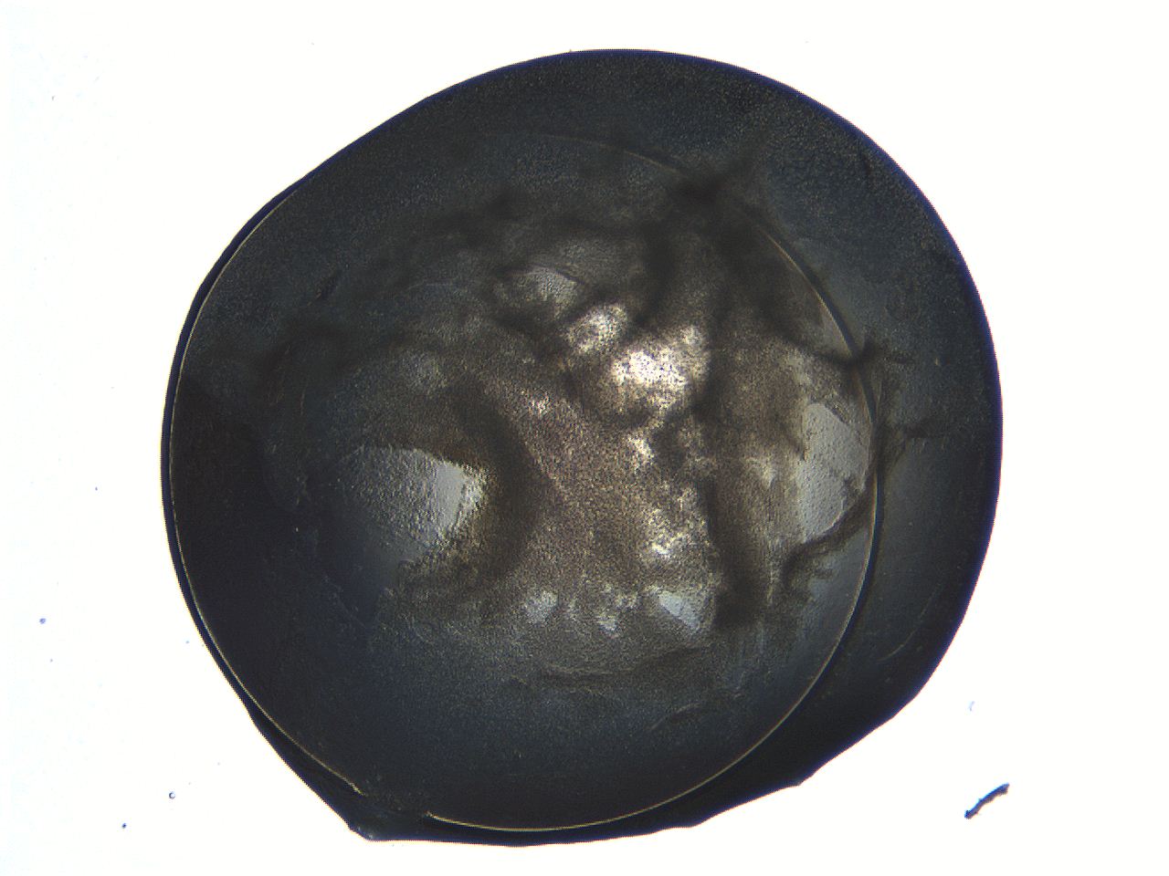 04ot_D10_ImagerDefaults_3.jpg
