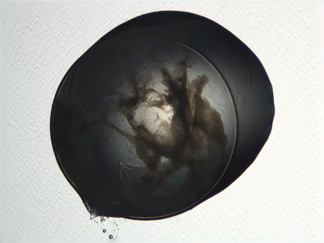 04ot_D11_ImagerDefaults_3.jpg