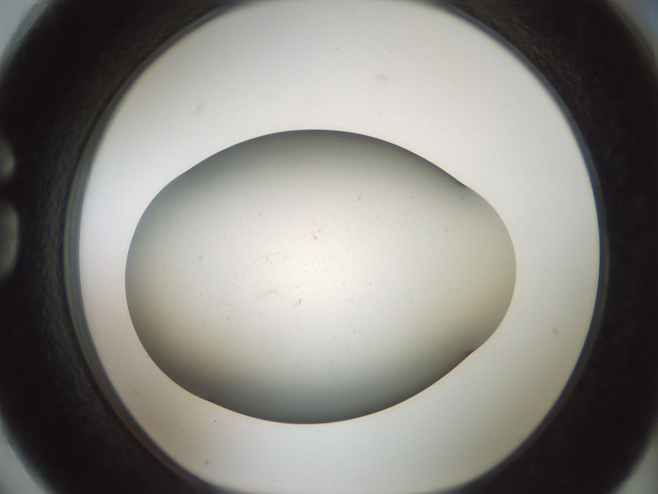 folderID949_plateID2949_batchID16027_wellNum74_profileID1_d1_r243099_ef.jpg