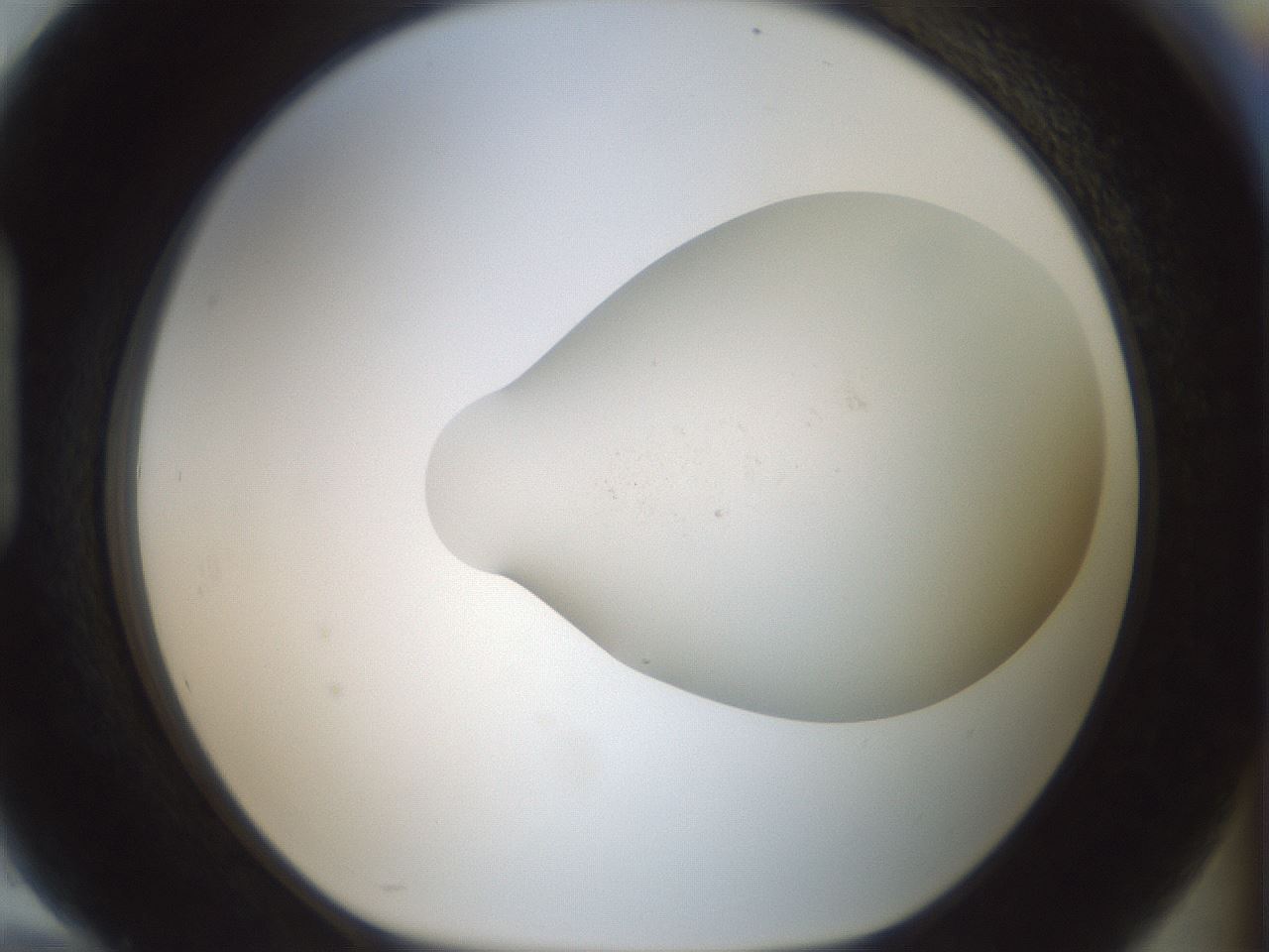 folderID949_plateID2949_batchID16027_wellNum94_profileID1_d1_r243119_ef.jpg